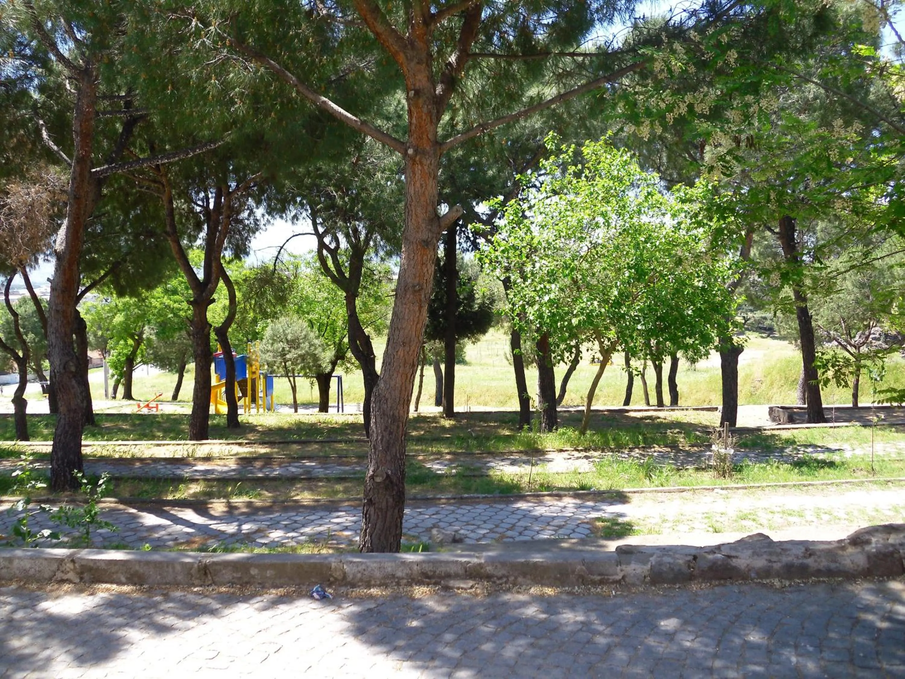 Natural landscape in Akropolis Guest House