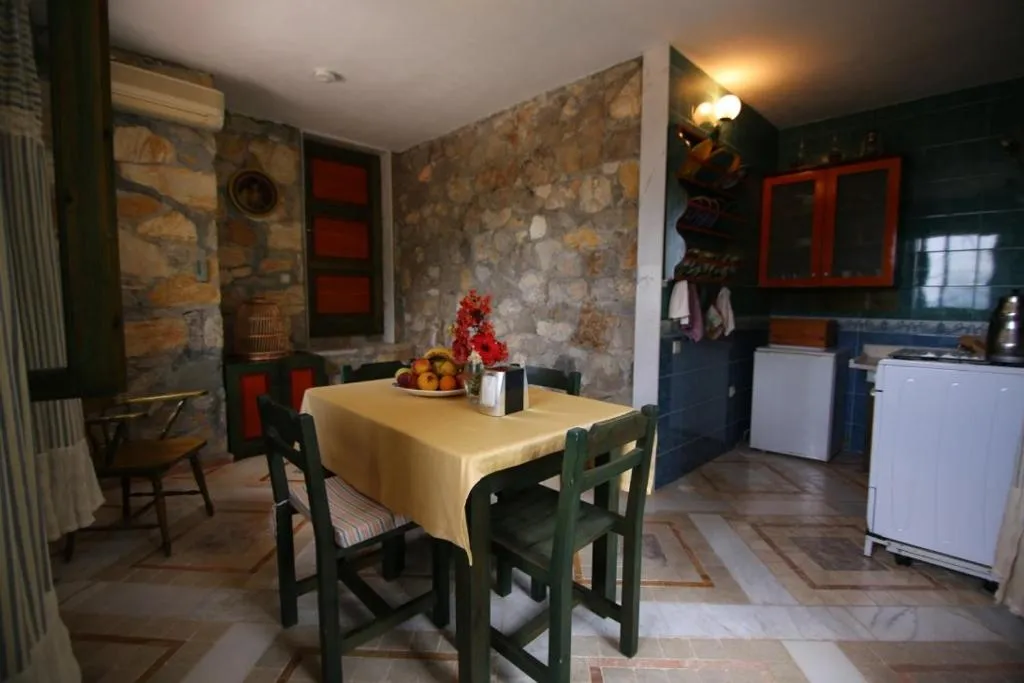 Kitchen or kitchenette in Villa Symbola