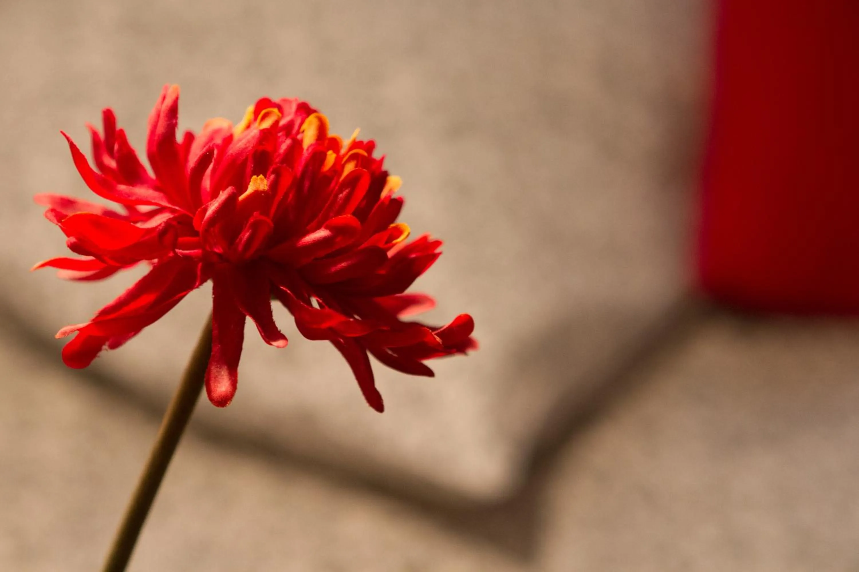 Decorative detail in Casa Montalbán Apartamentos Turísticos
