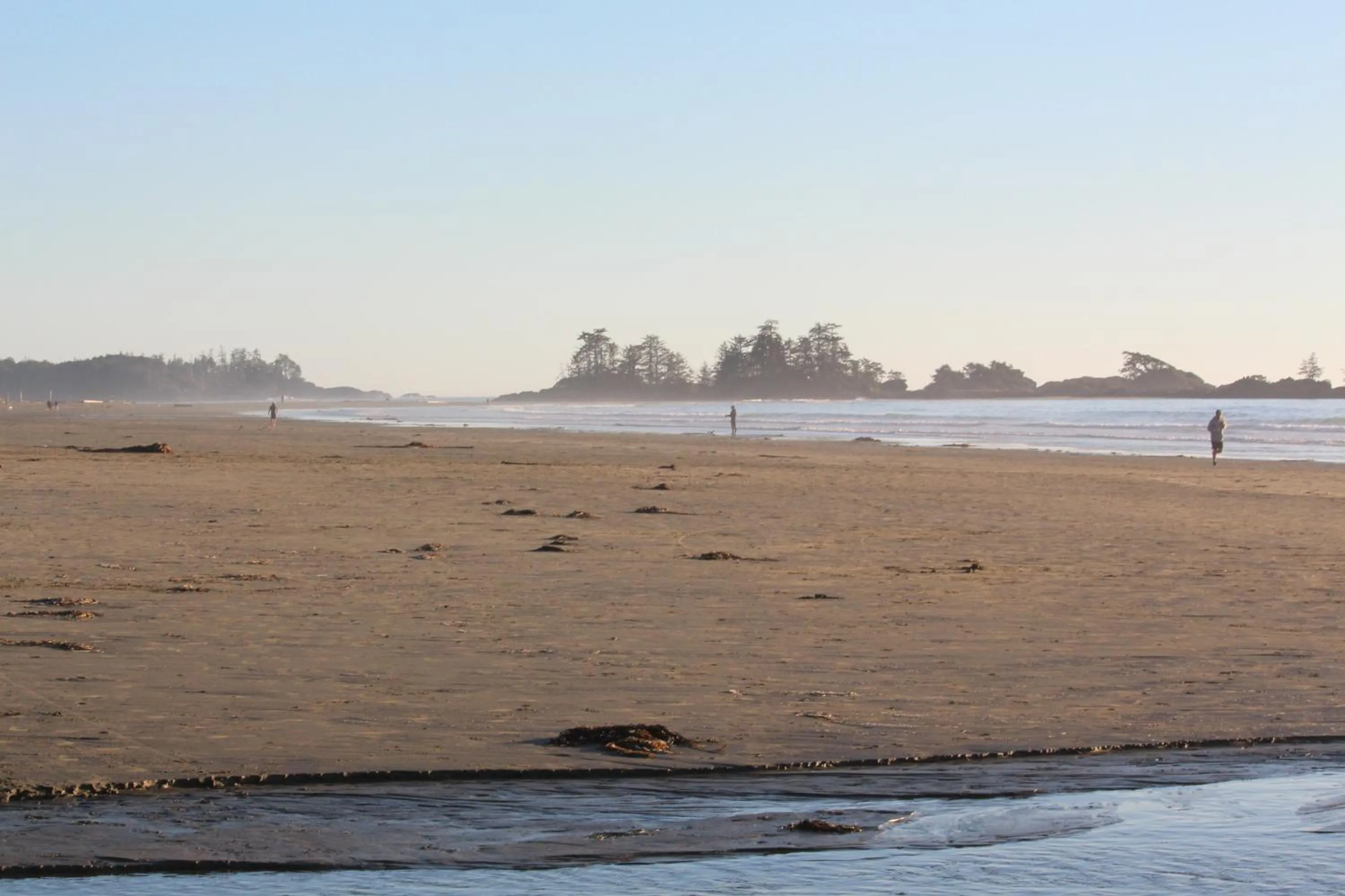 Other in Sienna's Tree House (Tall Trees And Salty Breeze)