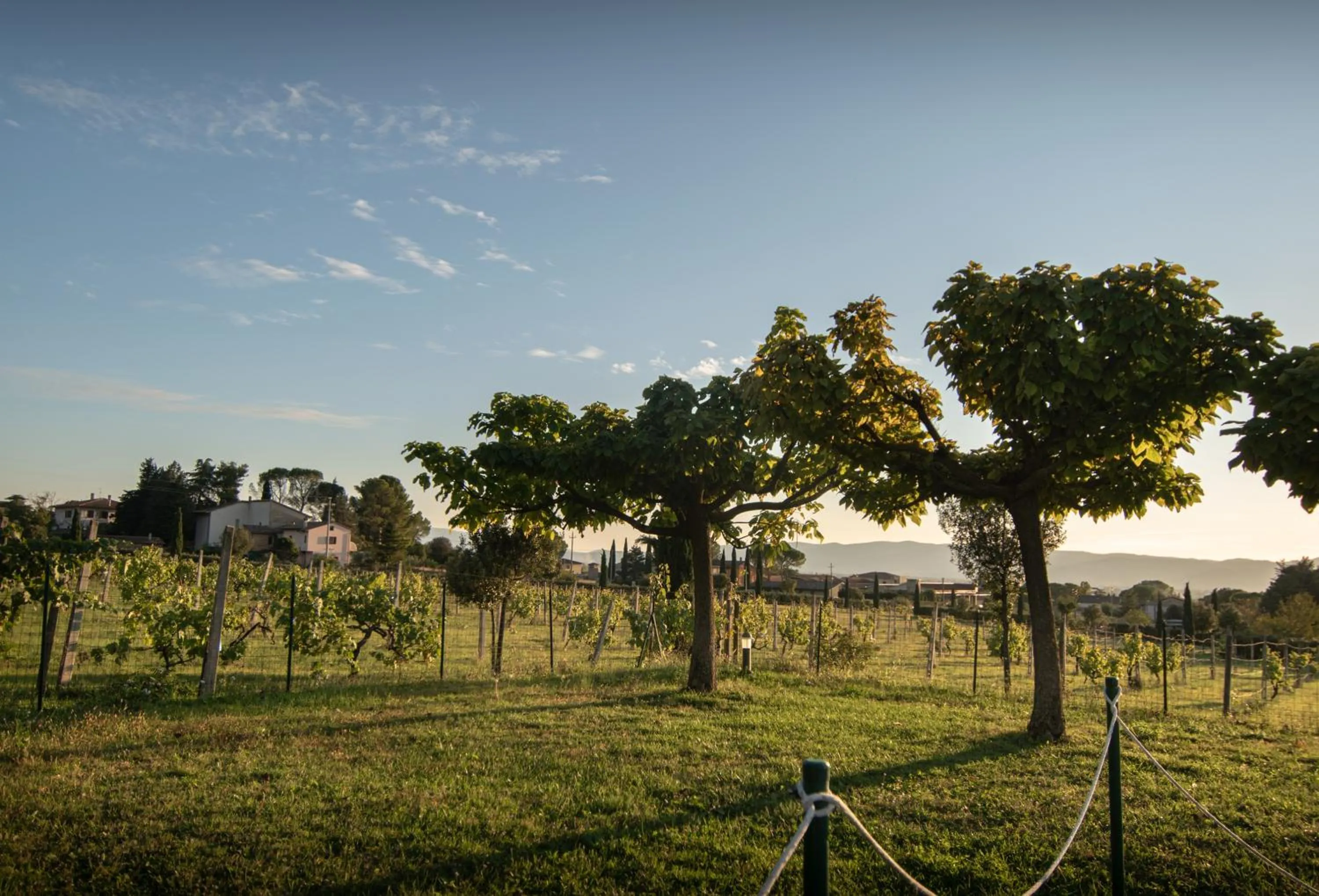 Garden in Agriturismo Sasso Rosso