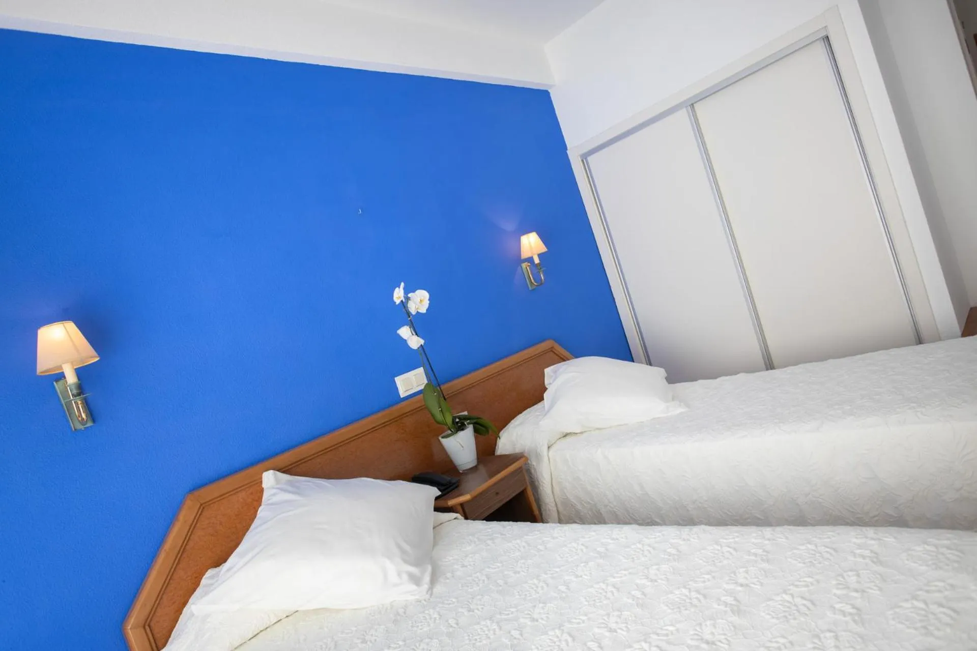 Photo of the whole room, Bed in Hotel Colón