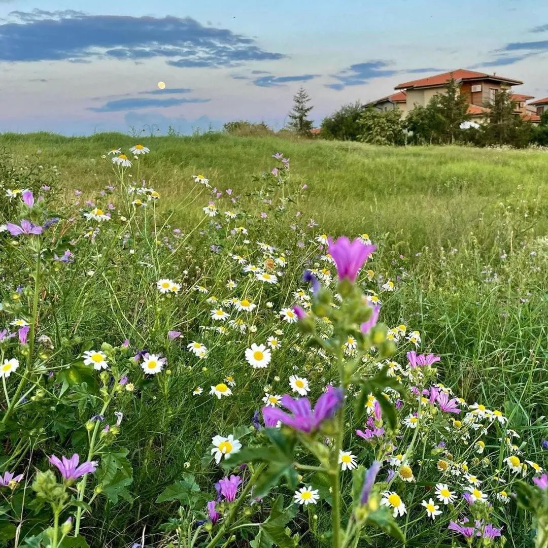 Spring in Lighthouse Golf & Spa Hotel