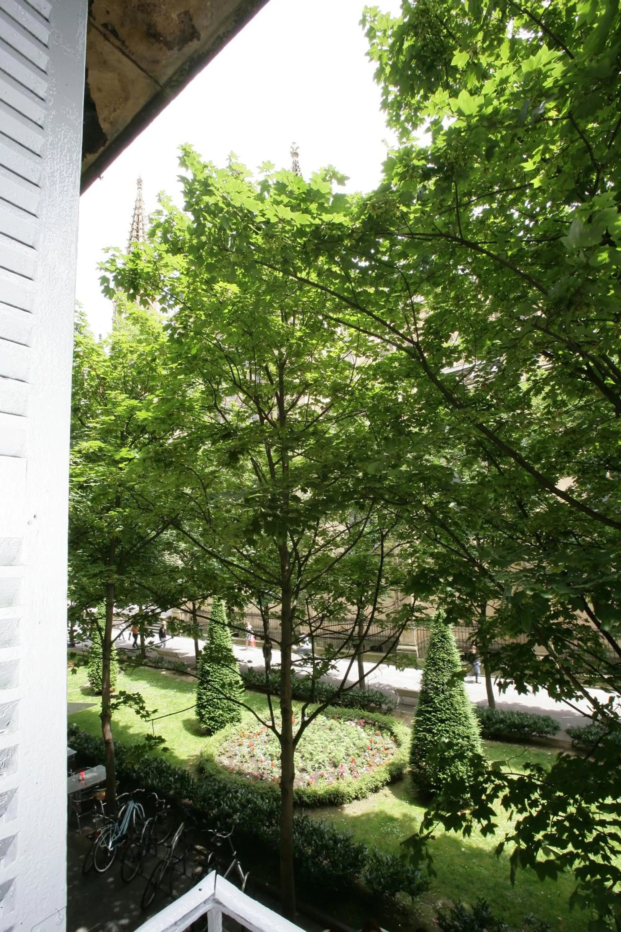 Area and facilities in Hostal San Ignacio Centro