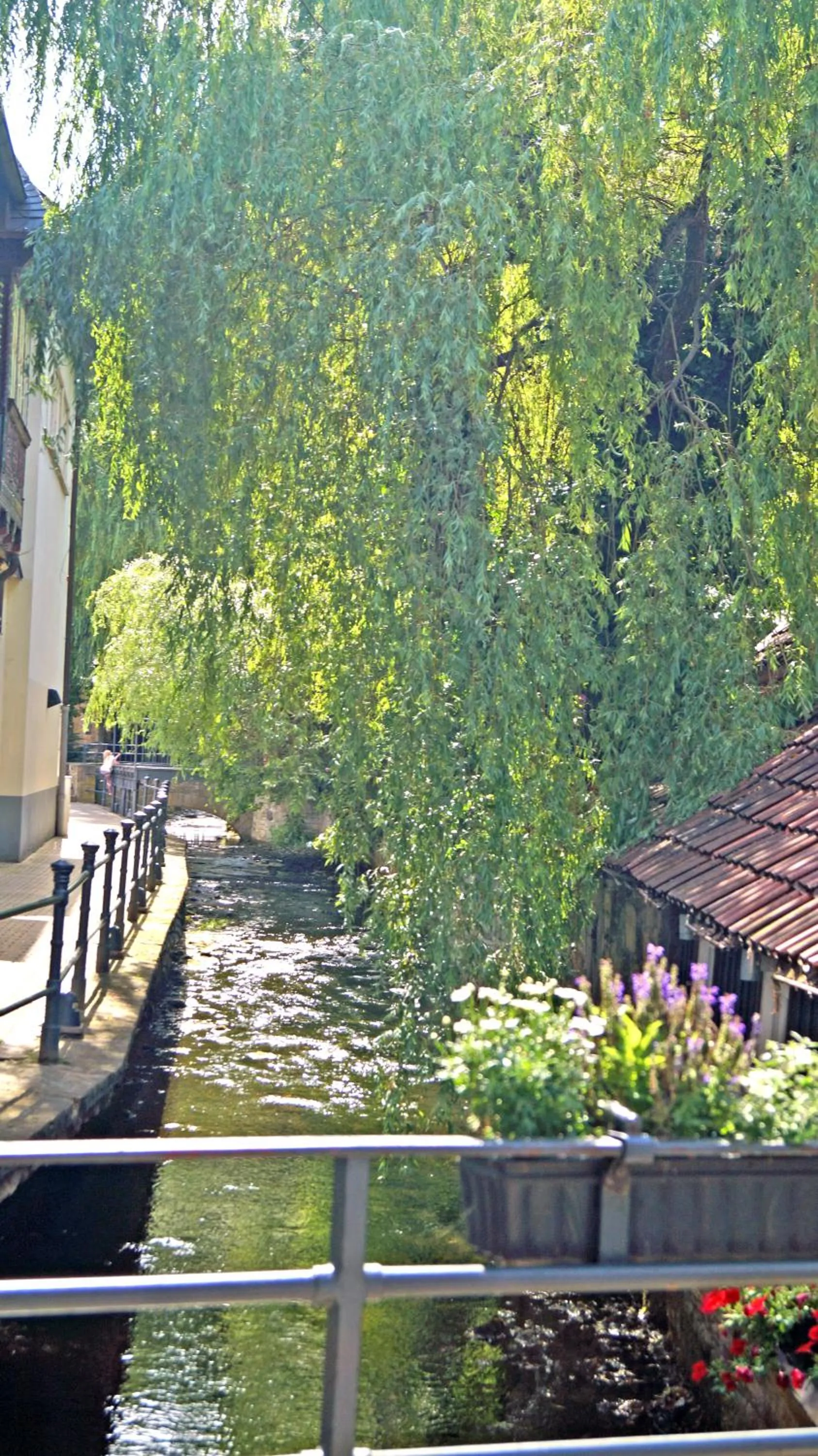 Day in Hotel Kaiserhof