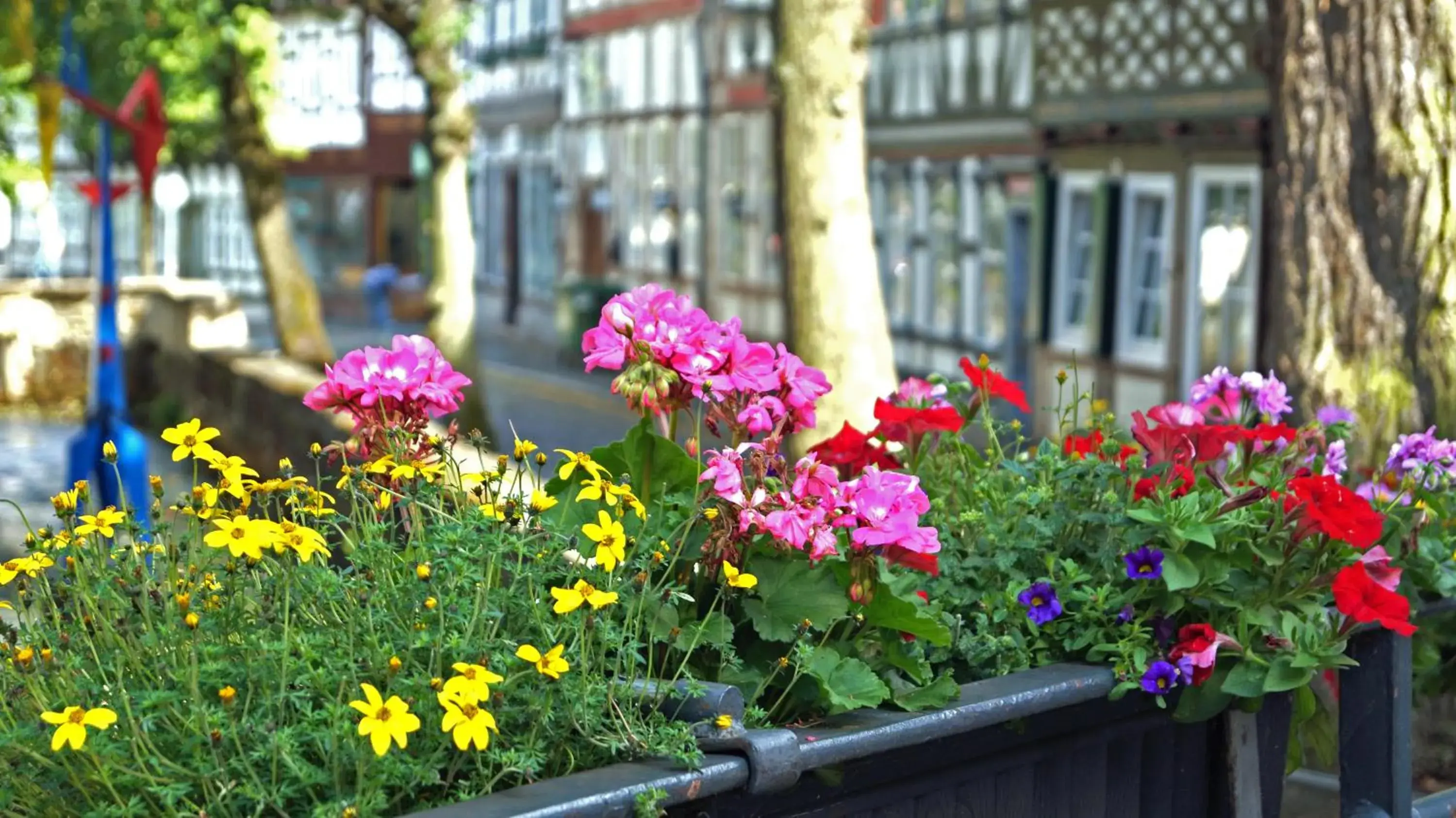 Single Room in Hotel Kaiserhof Single Room in Hotel Kaiserhof