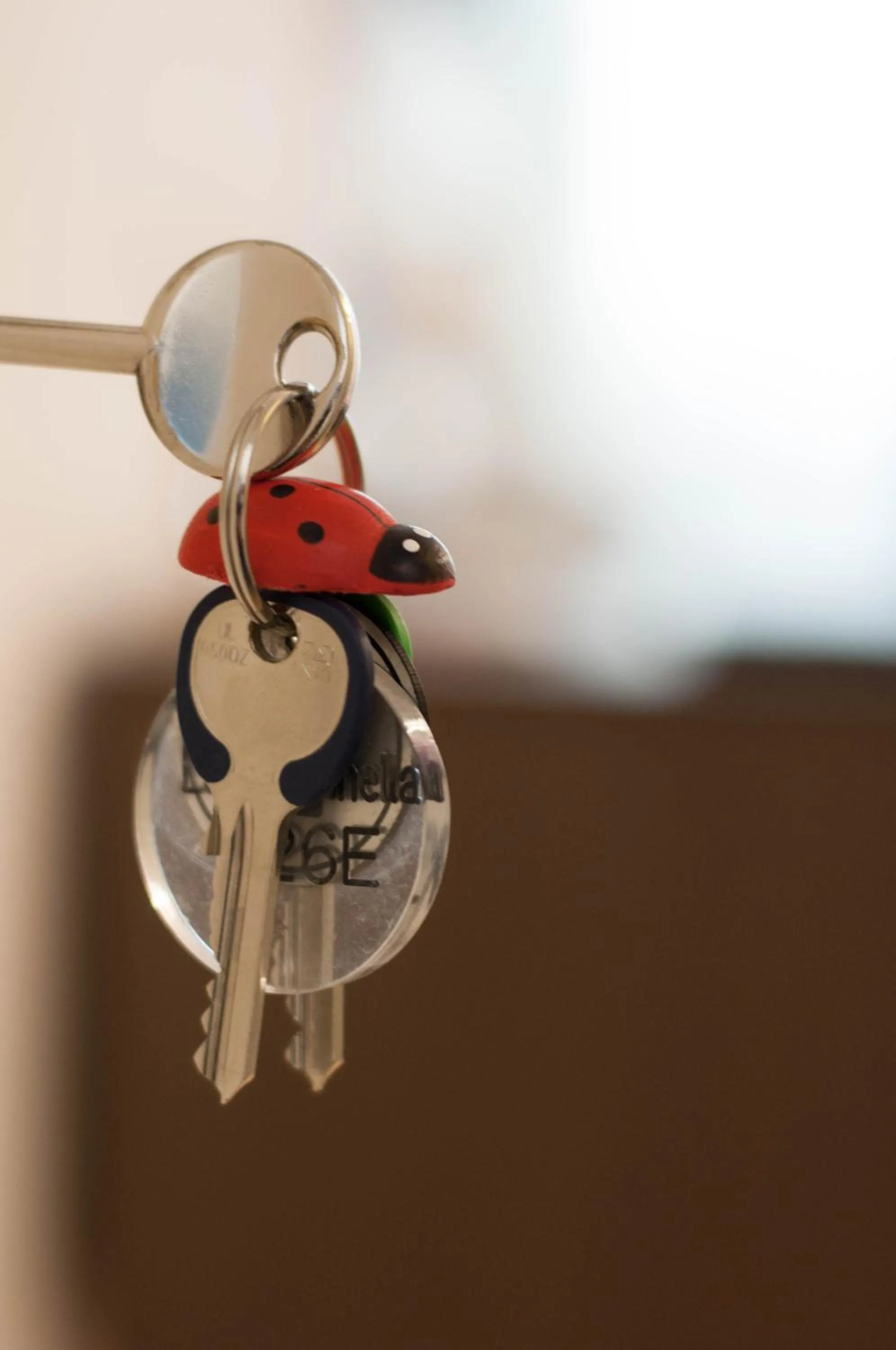 Property logo or sign in Soggiorno La Coccinella