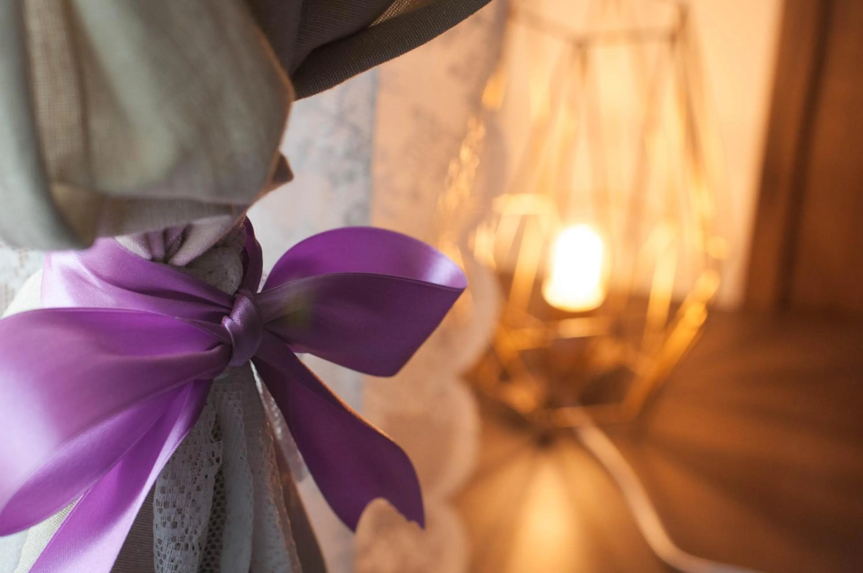 Pets in Soggiorno La Coccinella