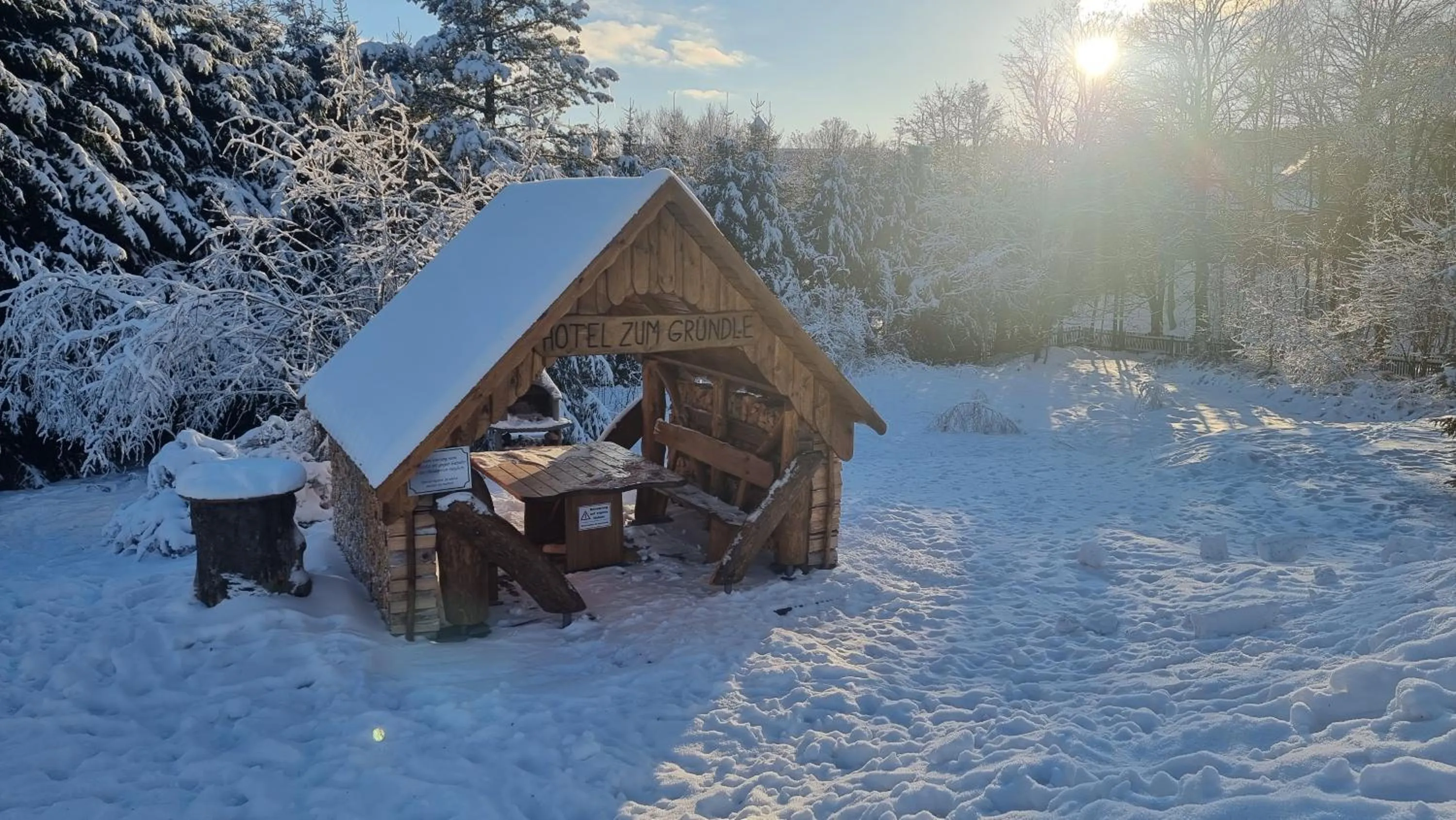 Natural landscape in Hotel Zum Gründle