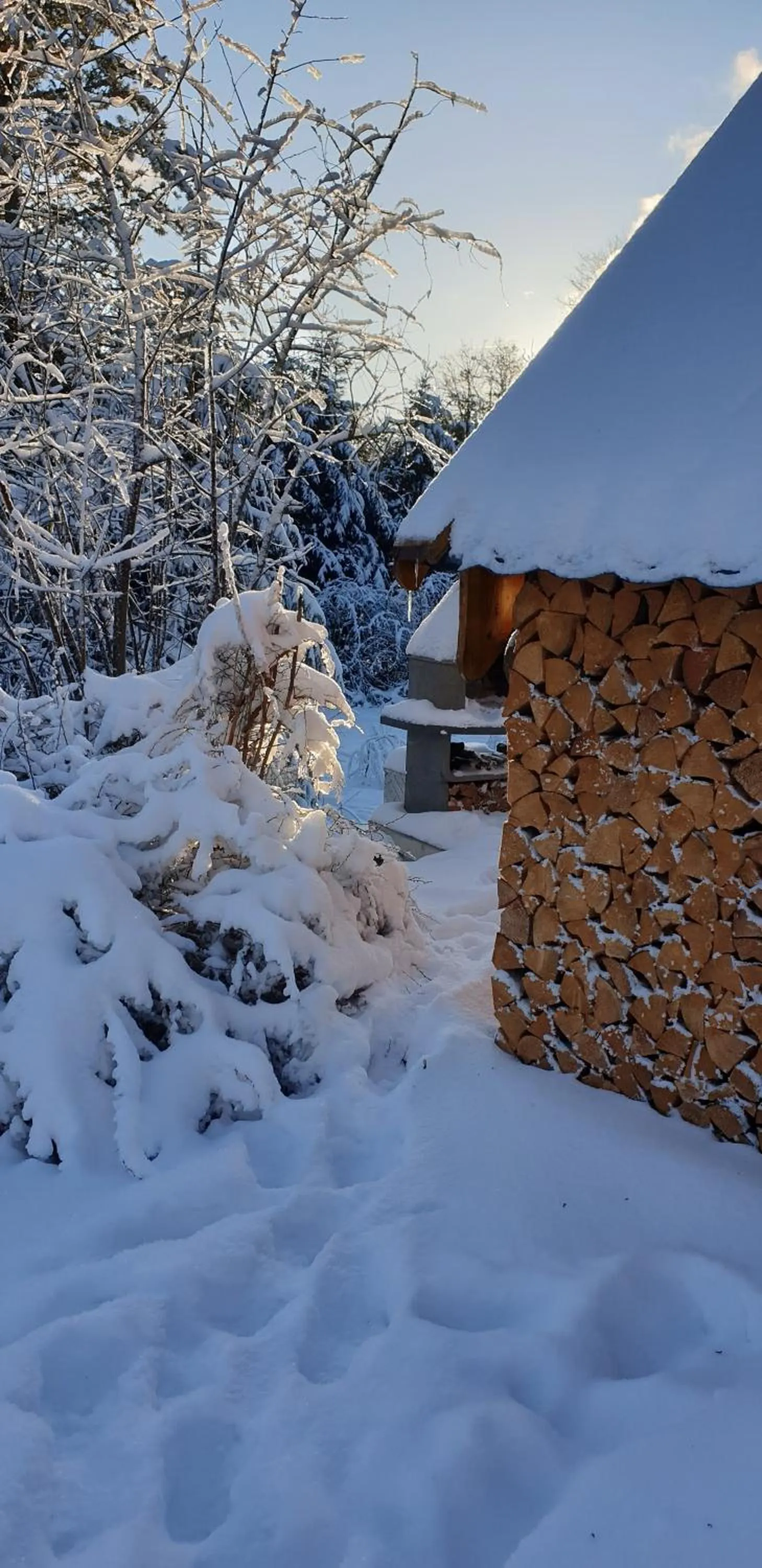 Natural landscape in Hotel Zum Gründle