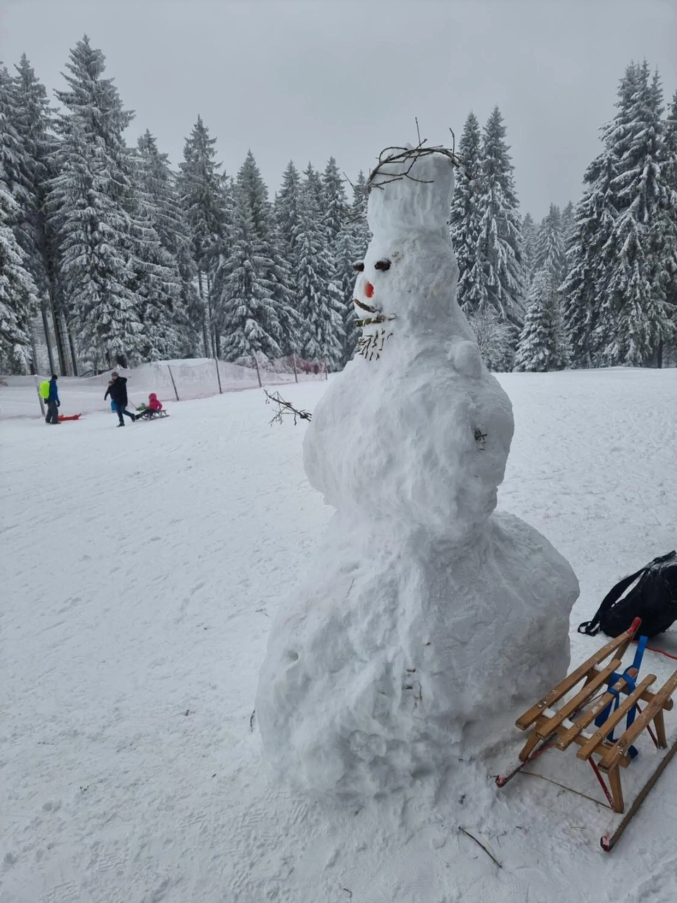 Winter in Hotel Zum Gründle