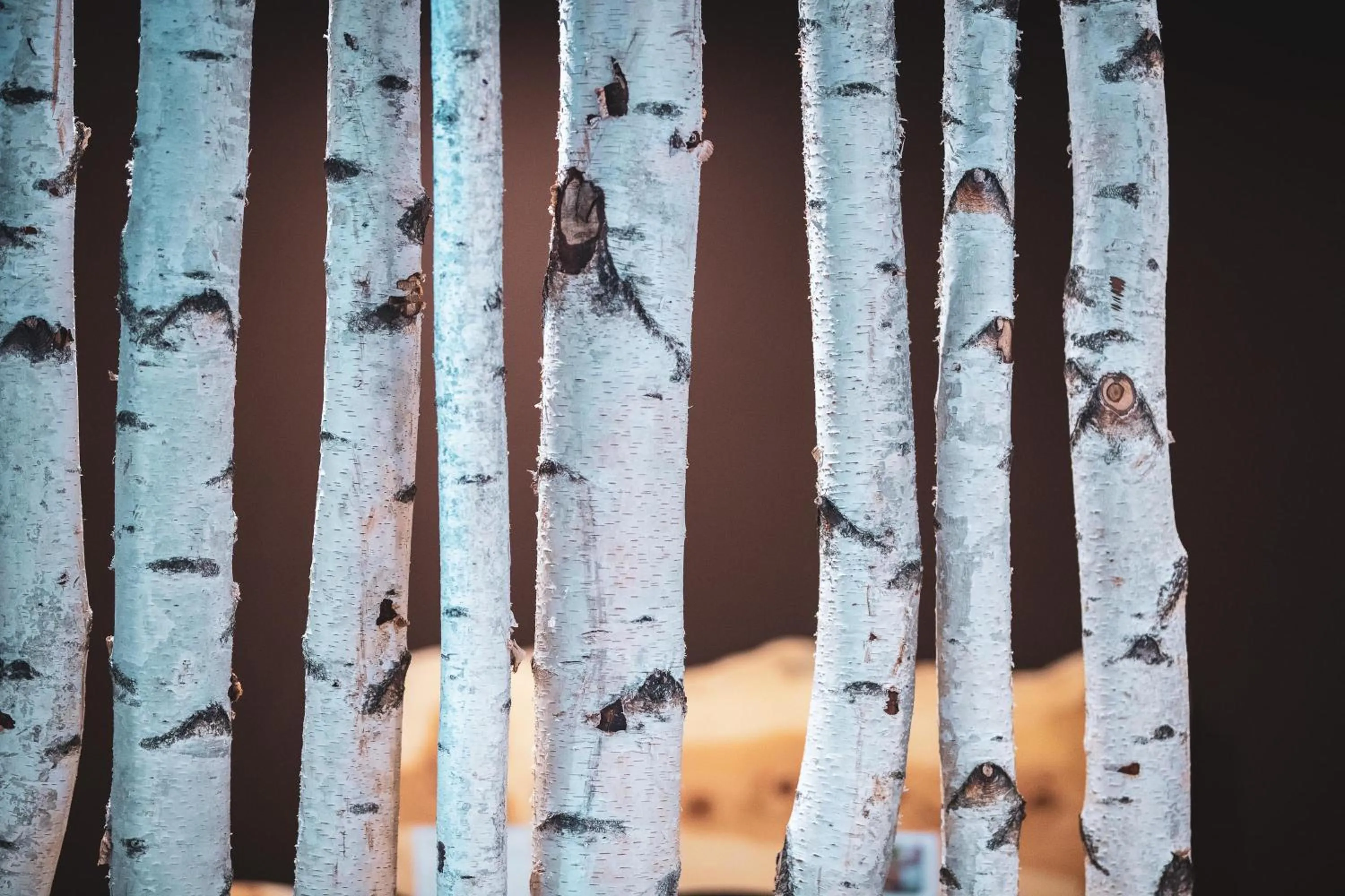 Spa and wellness centre/facilities in Hotel Erica