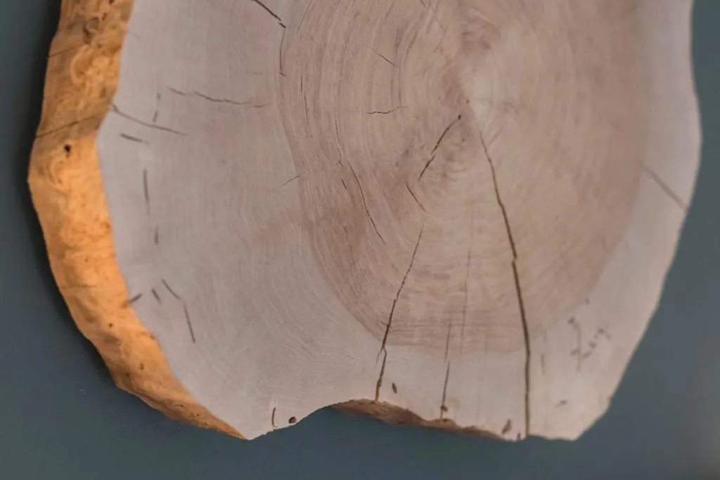 Decorative detail in Hotel Erica