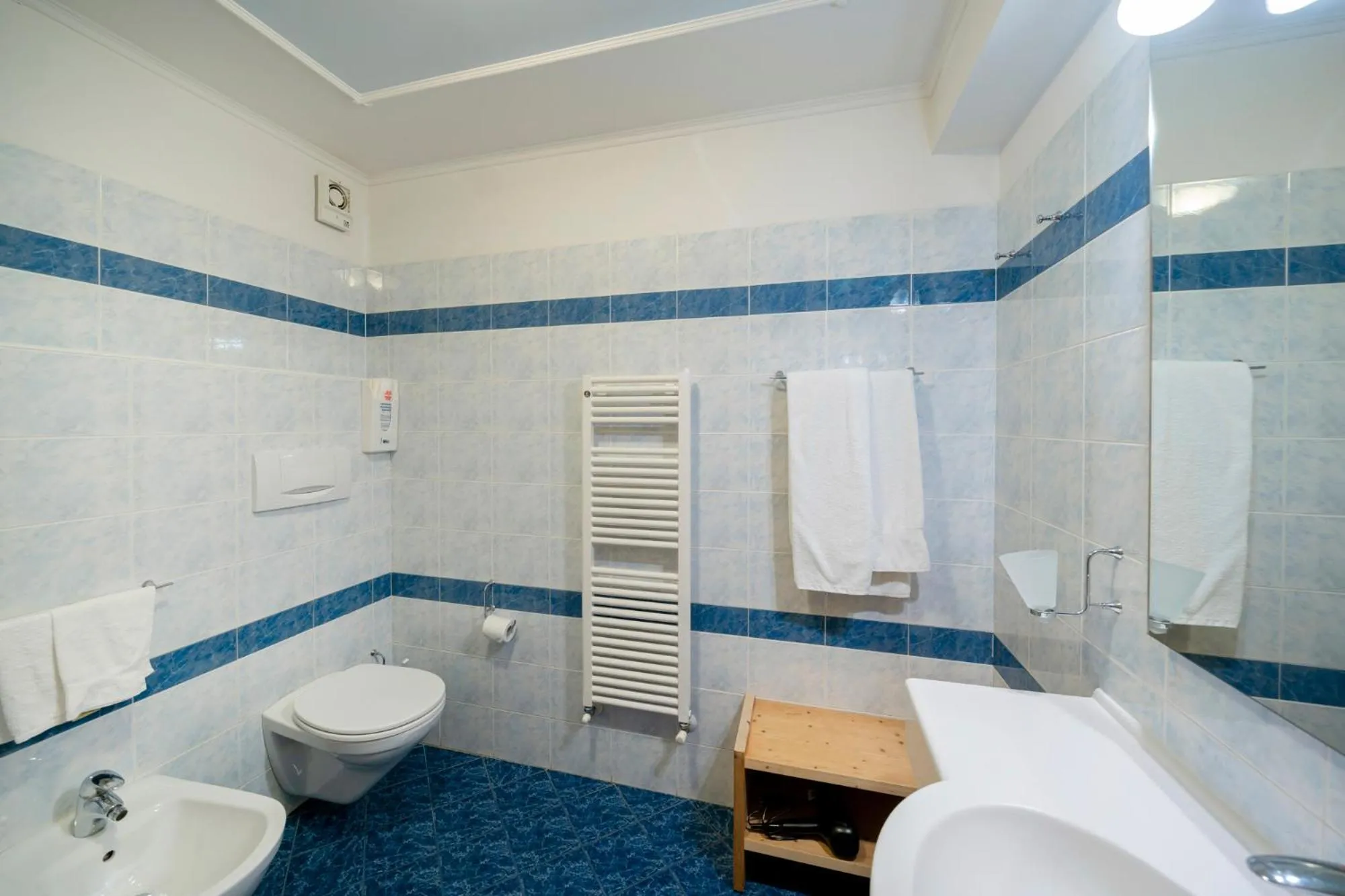 Bathroom in Hotel Erica