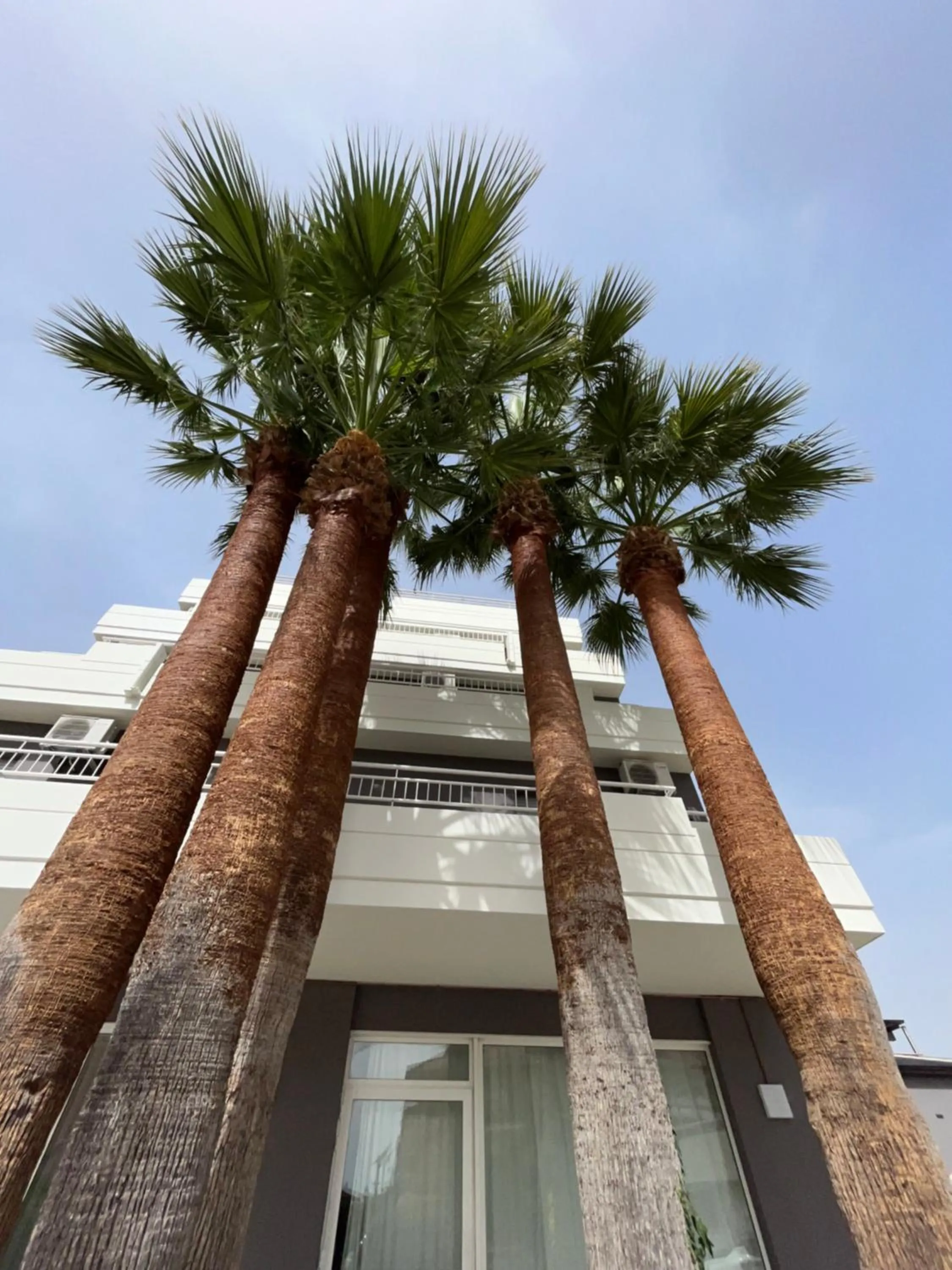 Property building in Hotel Mediterraneo