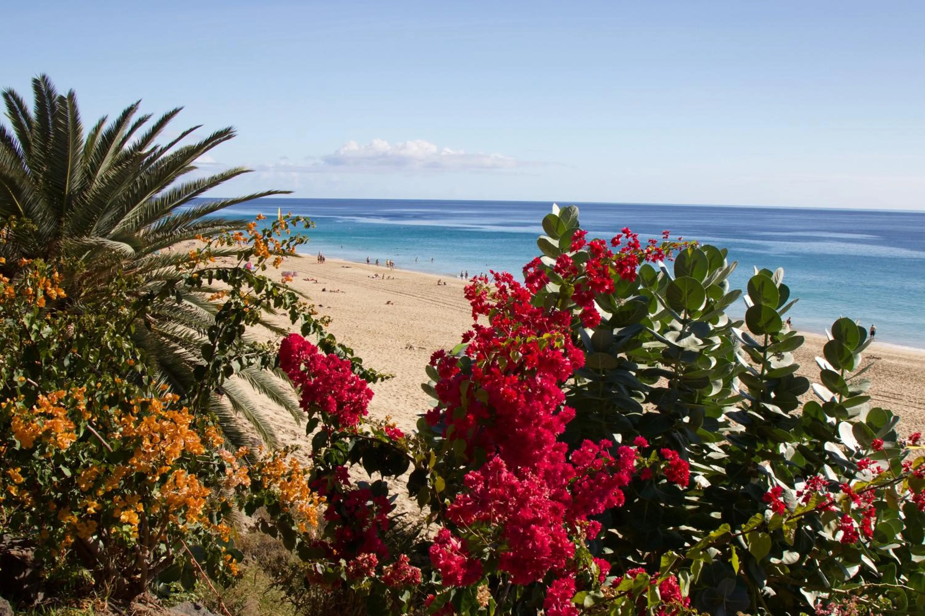 Natural landscape in Bungalow Silvia