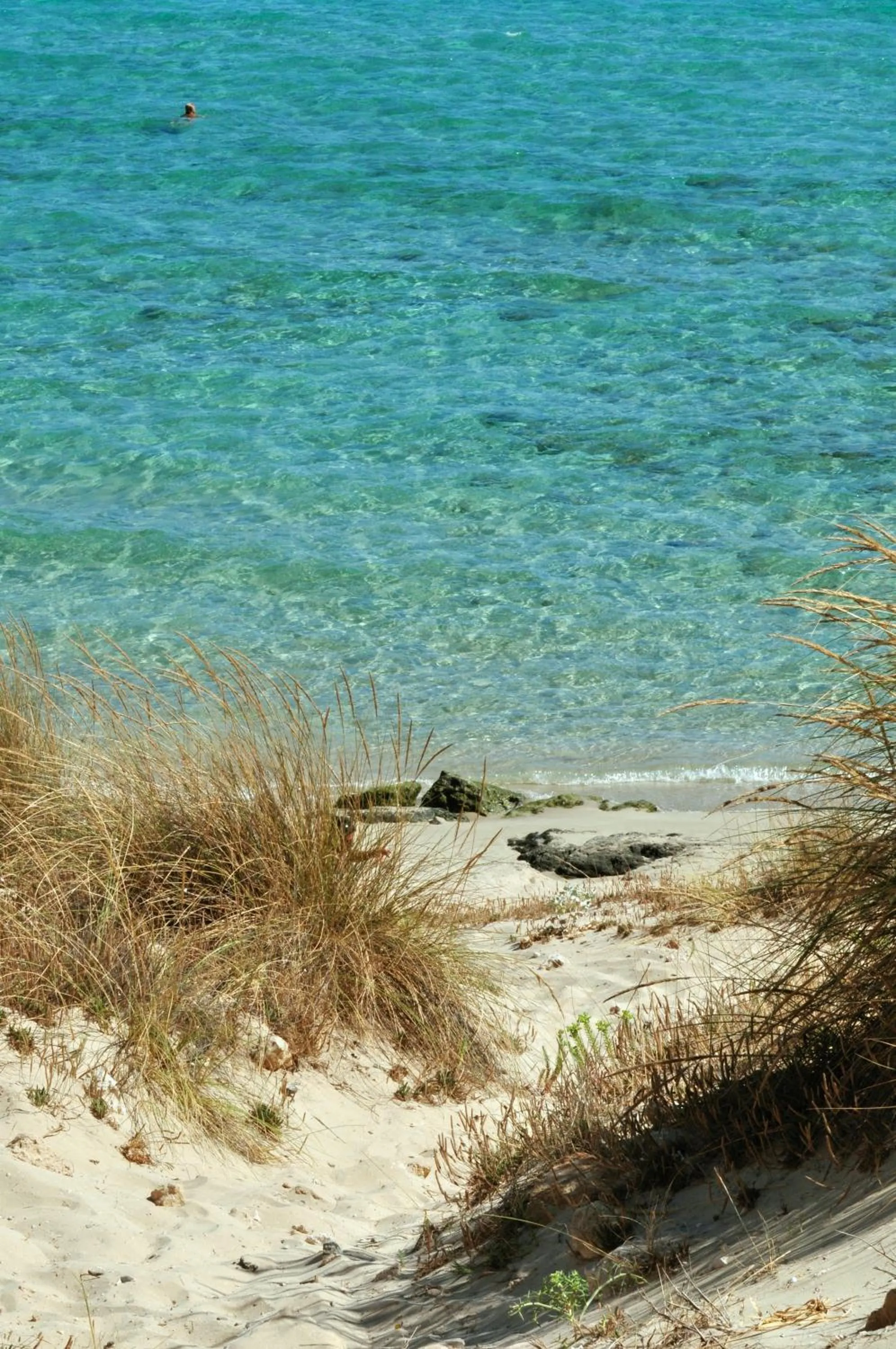 Natural landscape in Il Grillo Hotel