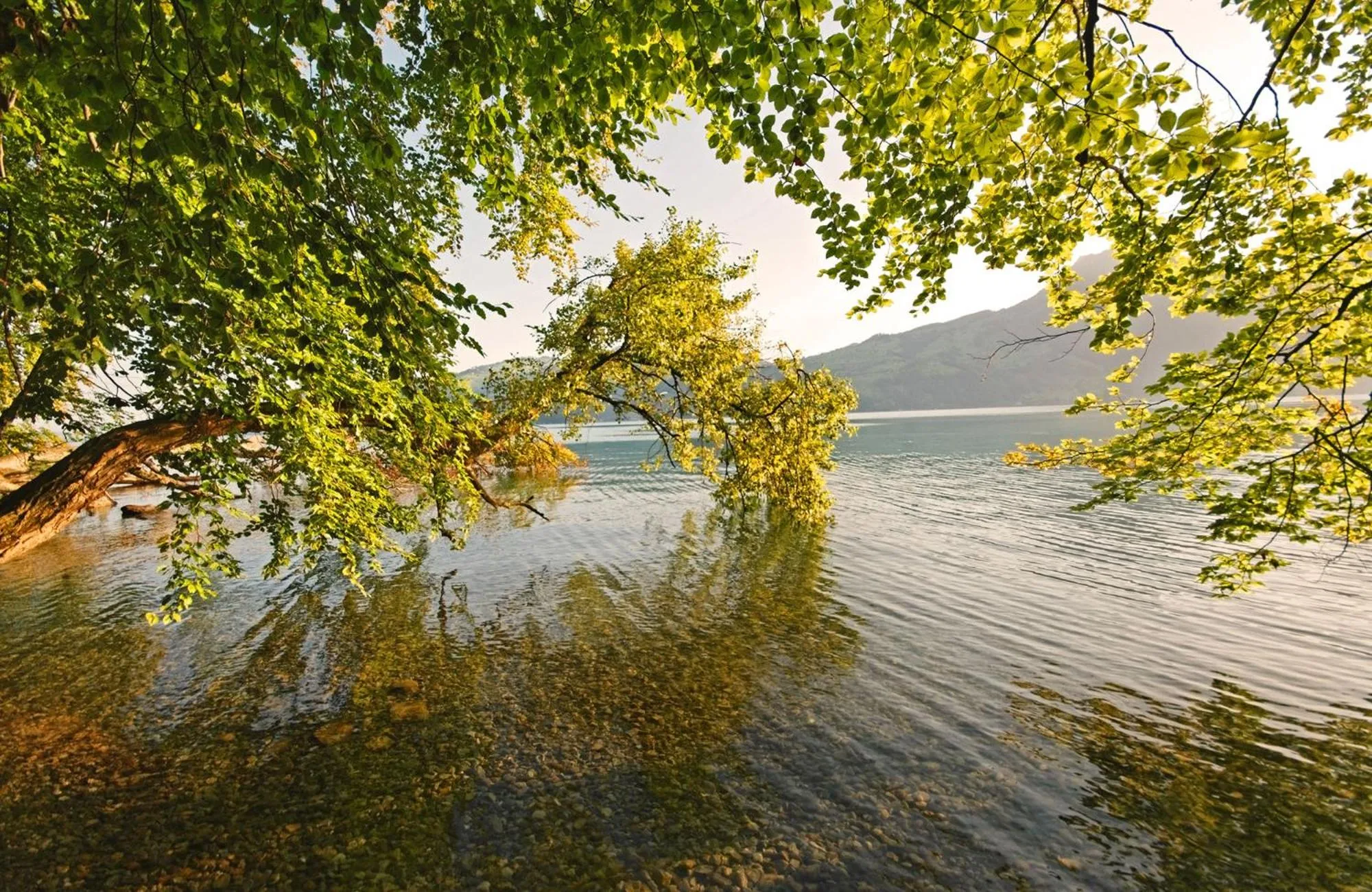 Spring in Hotel Seaside