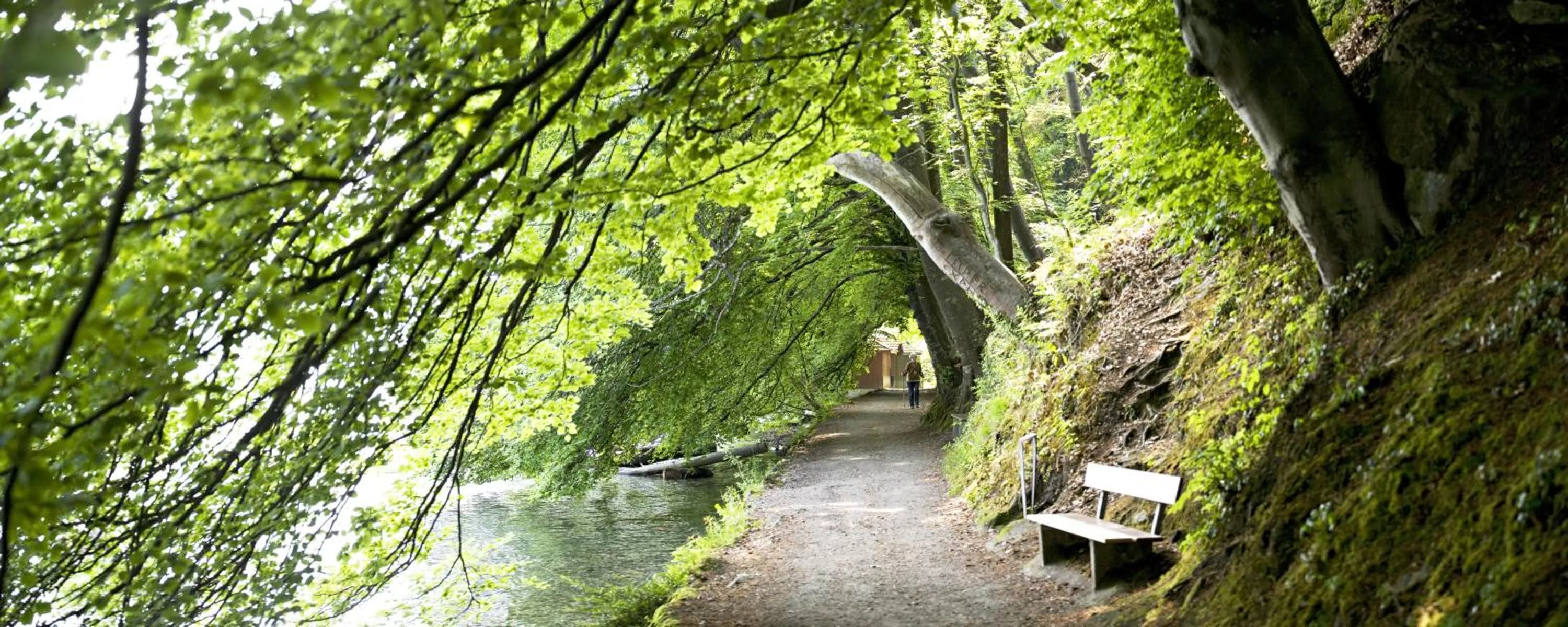 Other in Hotel Seaside