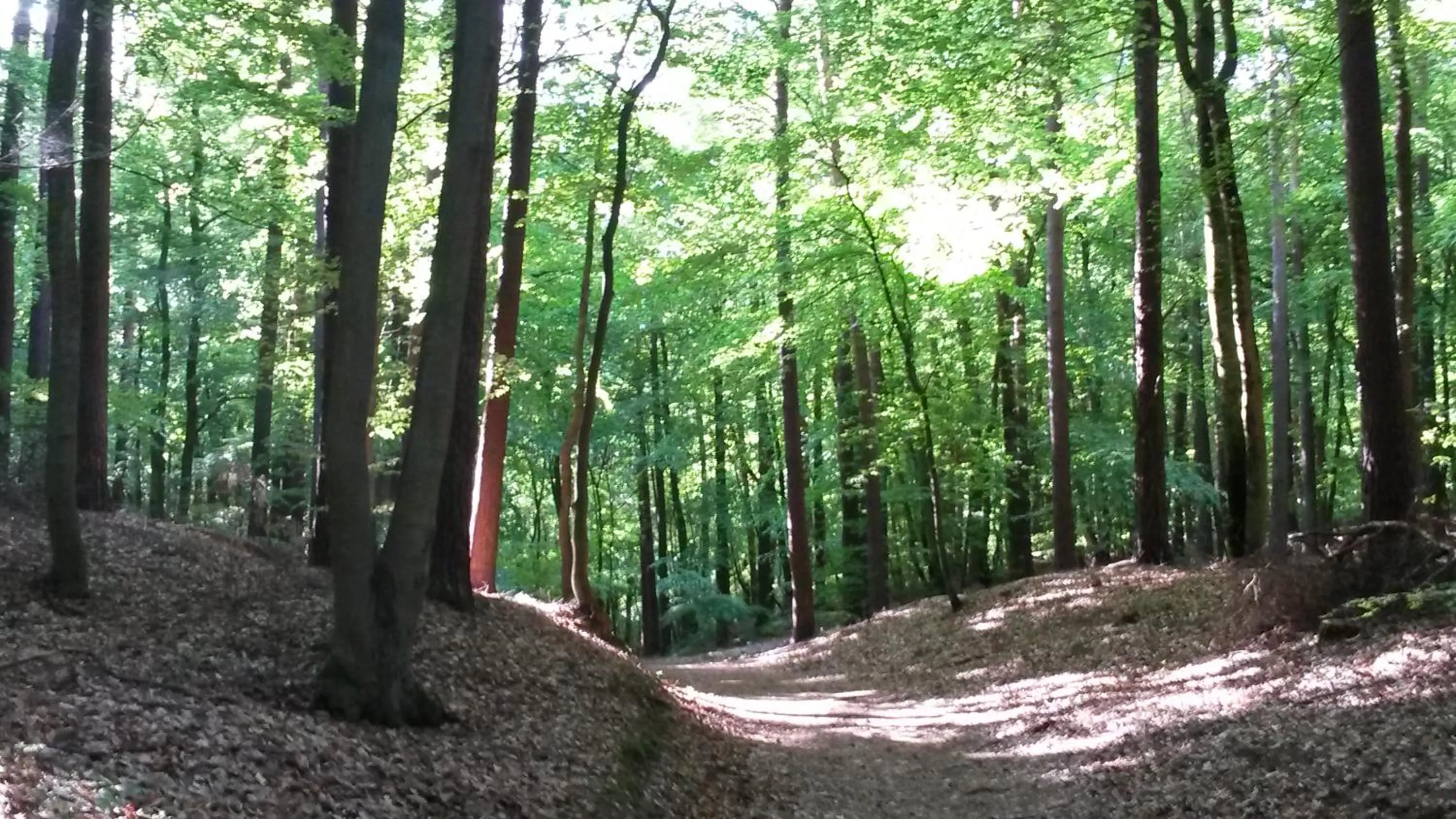 Cycling in Hotel Garni Nussbaumhof