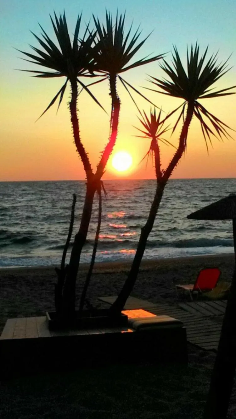 Beach in Dionisos Hotel
