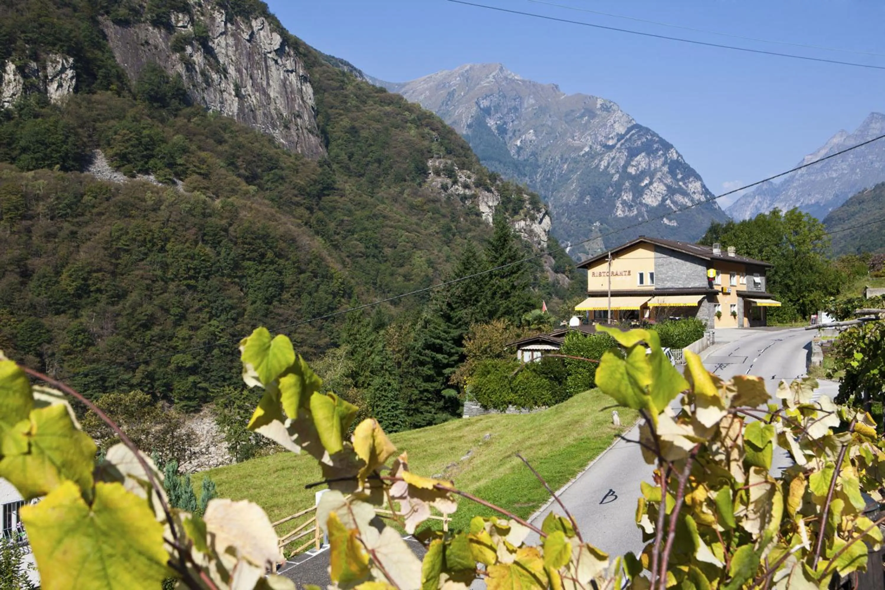 Logo/Certificate/Sign in Hotel Al Lago