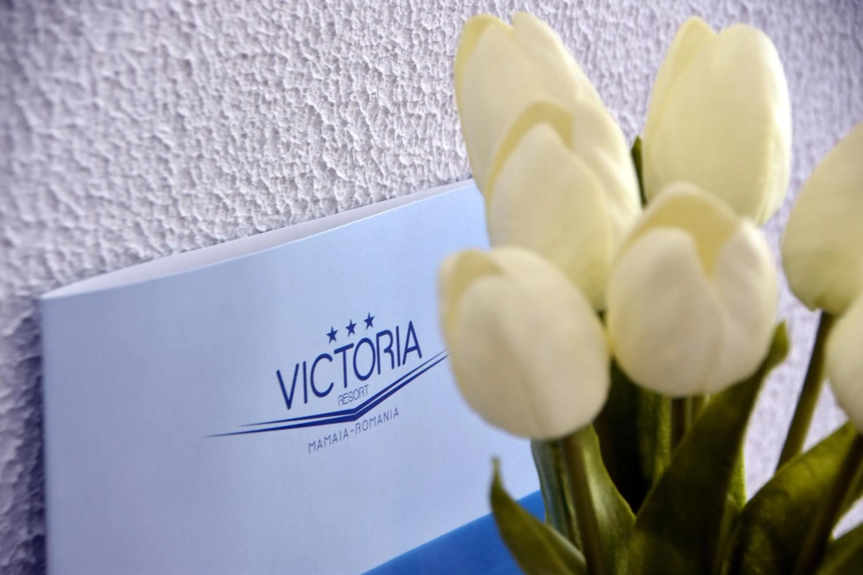 Photo of the whole room in Hotel Victoria