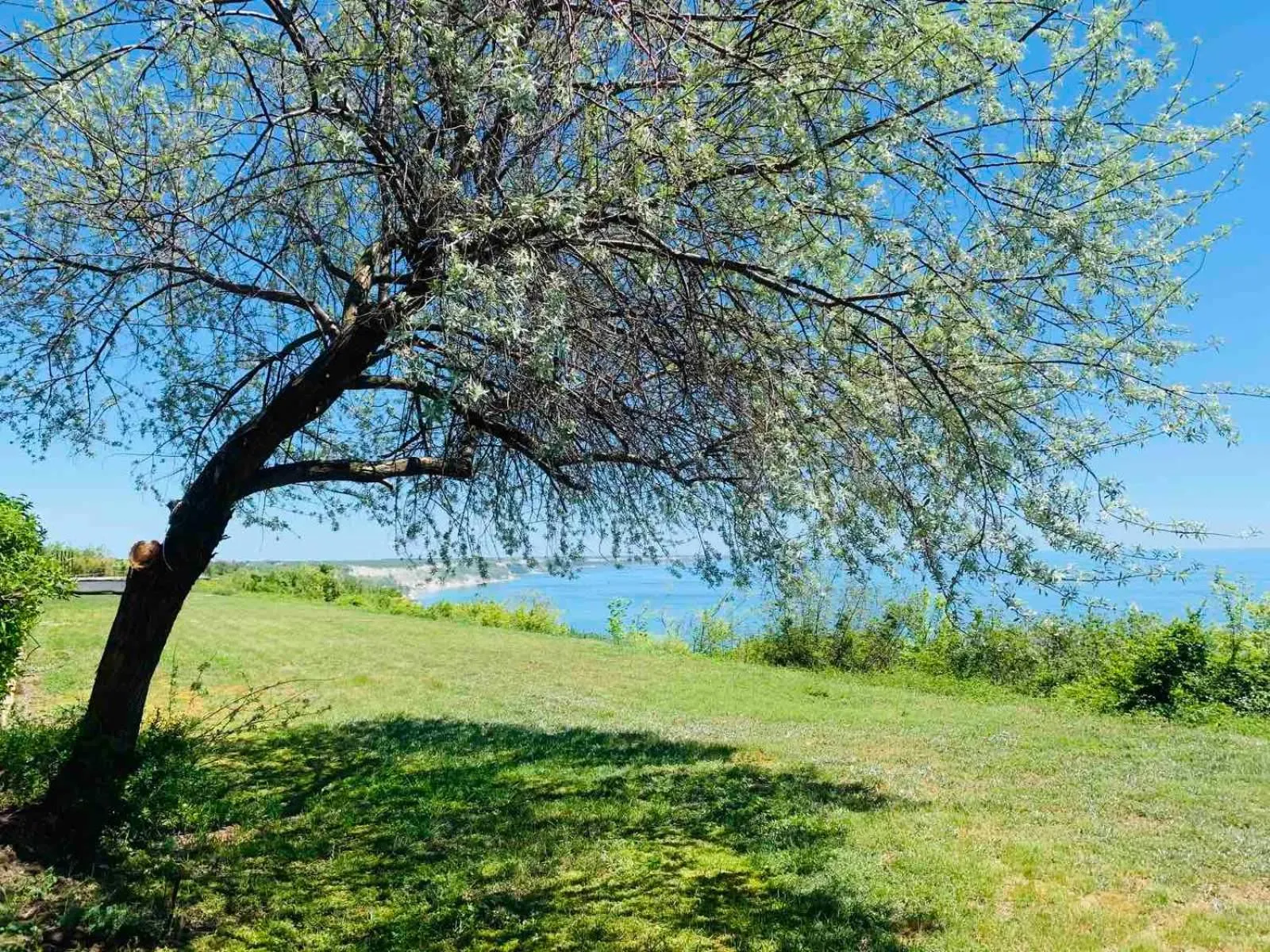 Garden in Kaliakria Resort