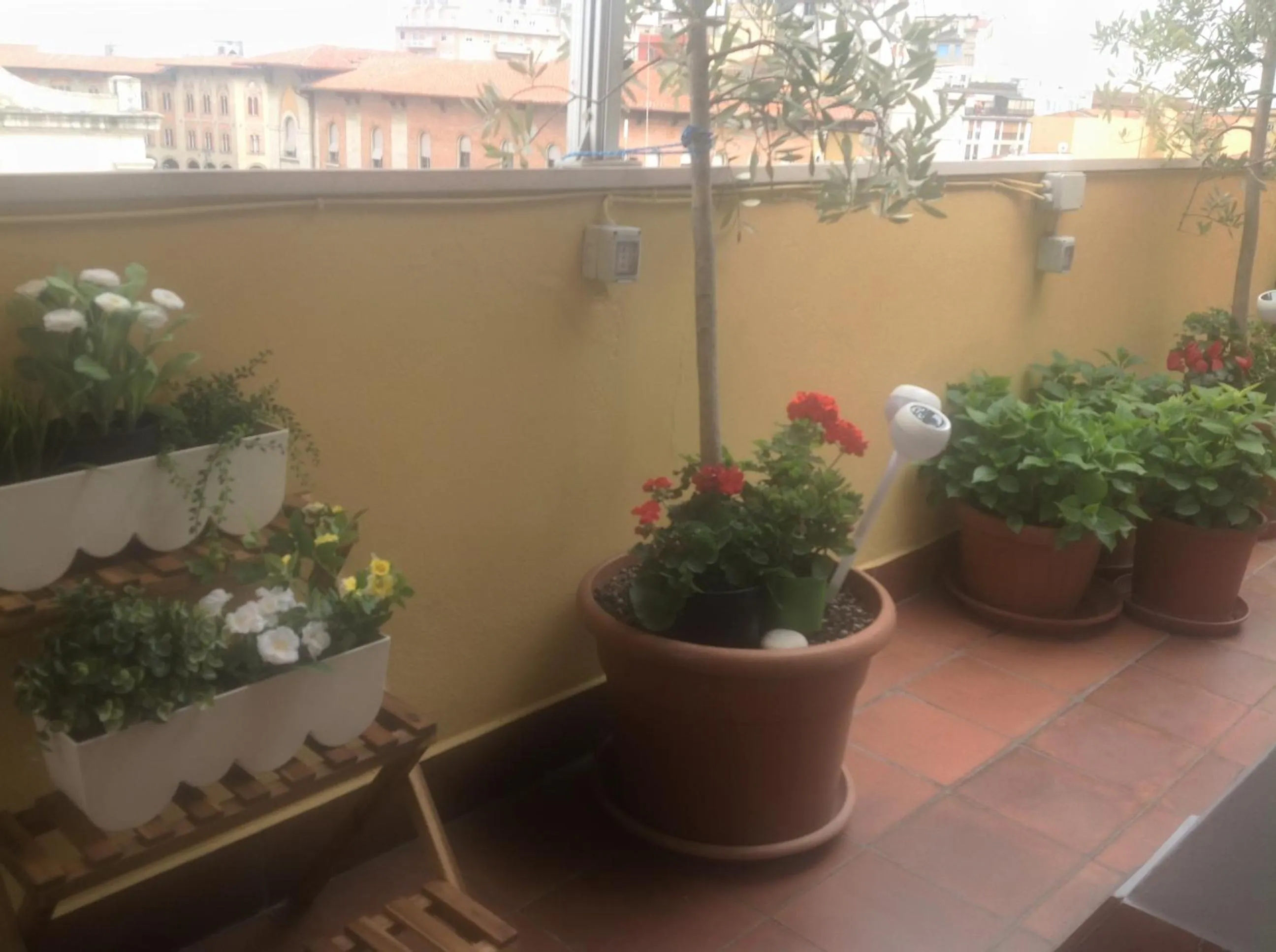 Patio in B&B Dei Cavalieri