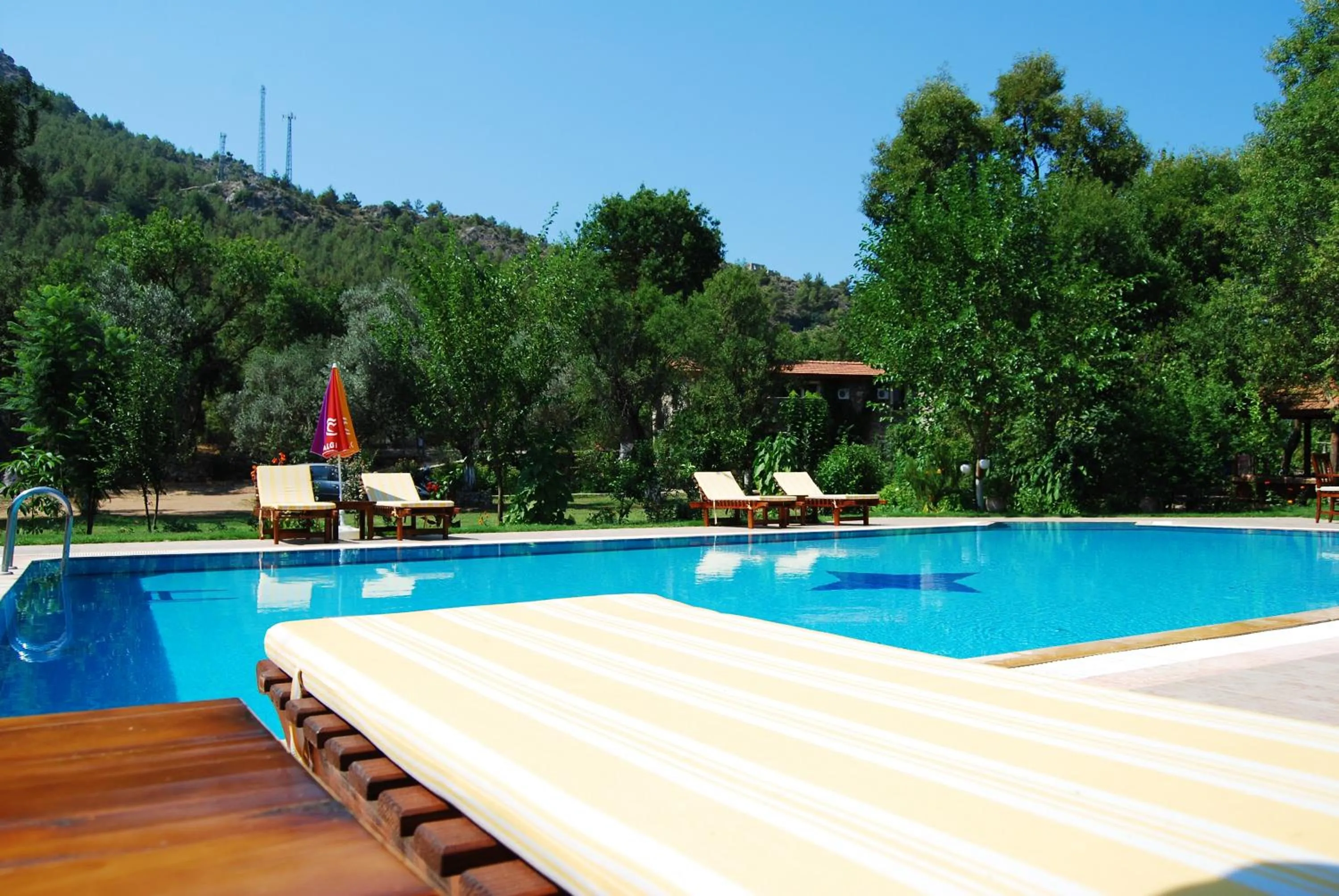 Swimming pool in Doga Apartments