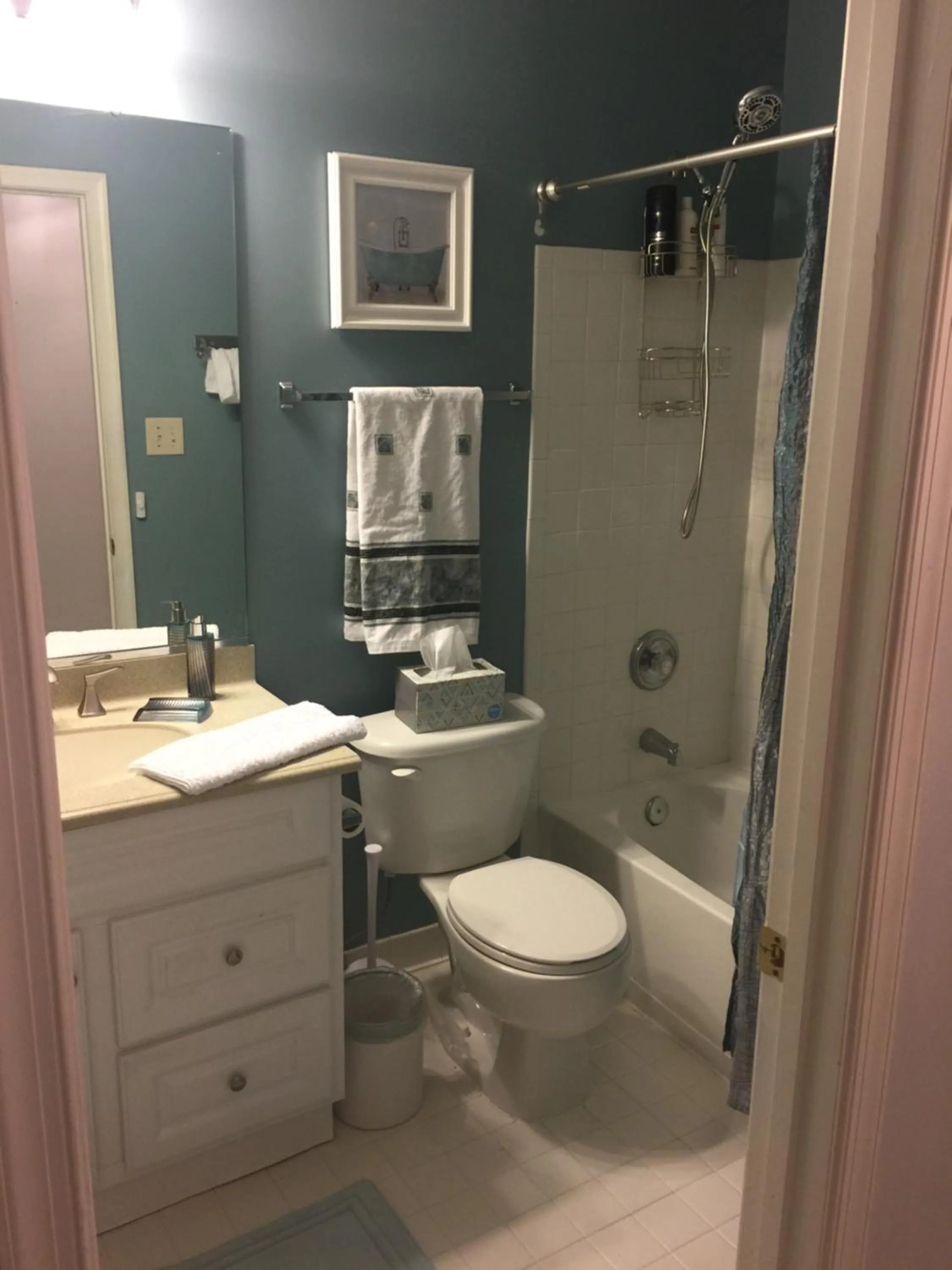 Shower in Premier National Harbor House