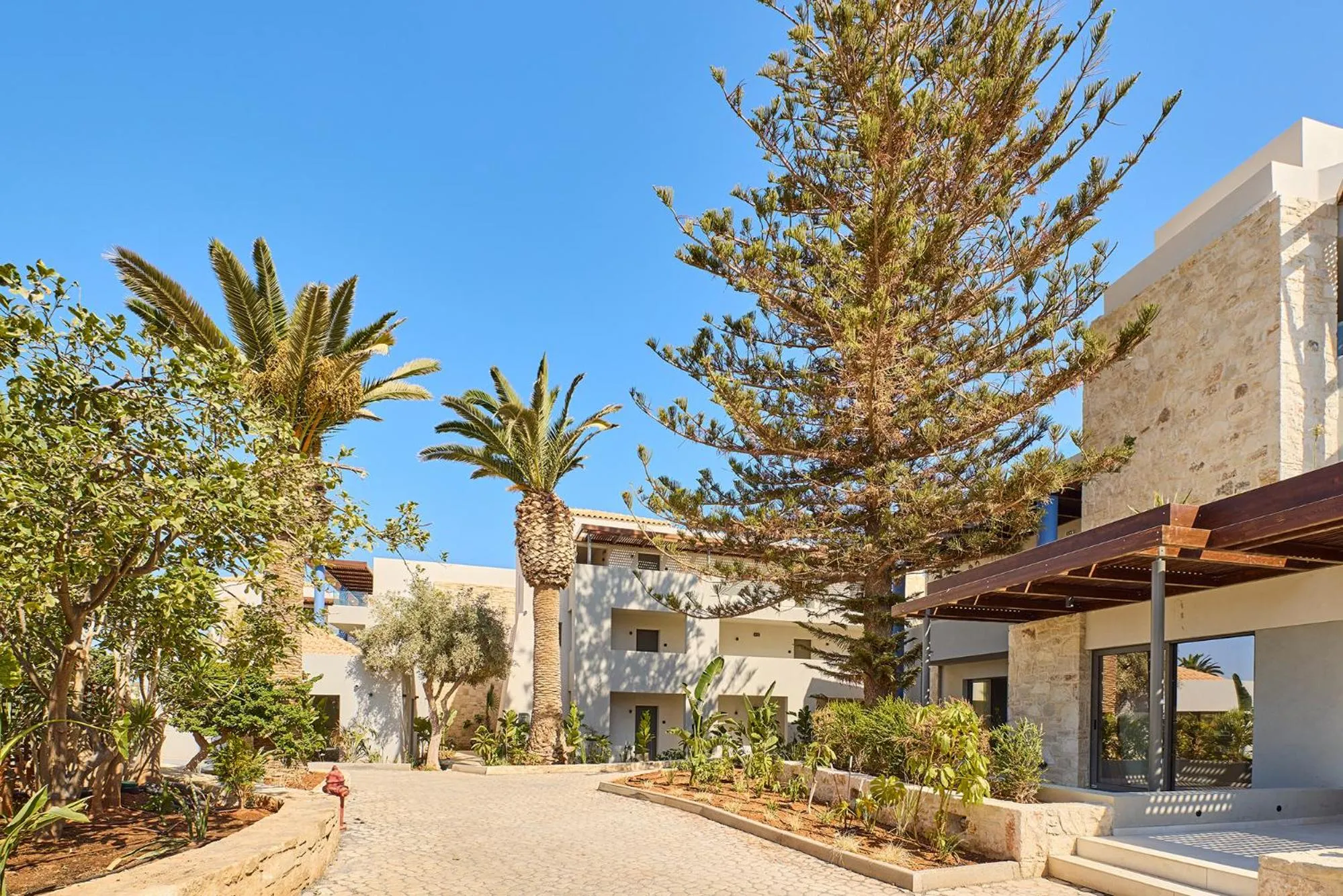 Garden in Paralos Kosta Alímia