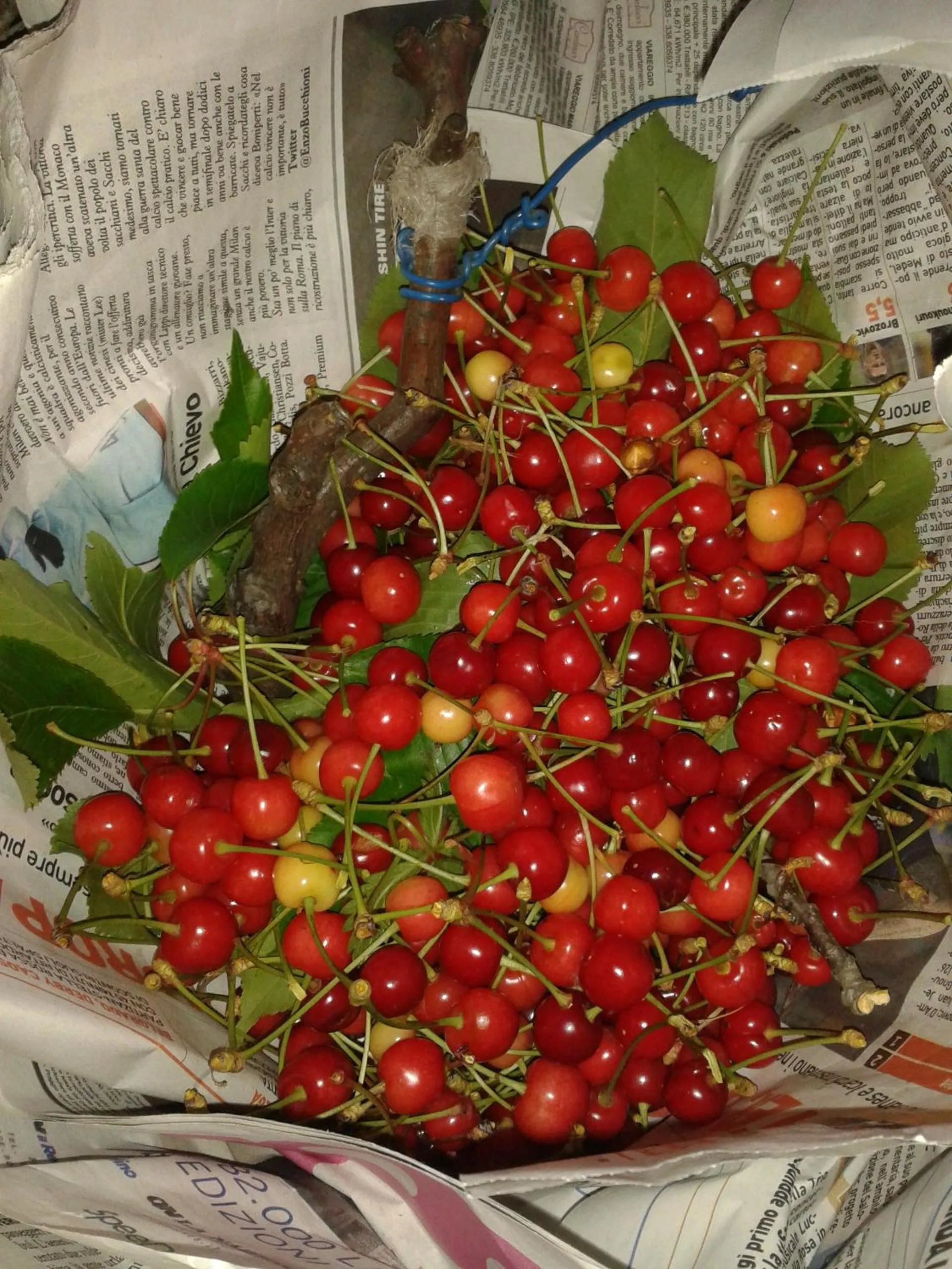 Food in B&B La Corte