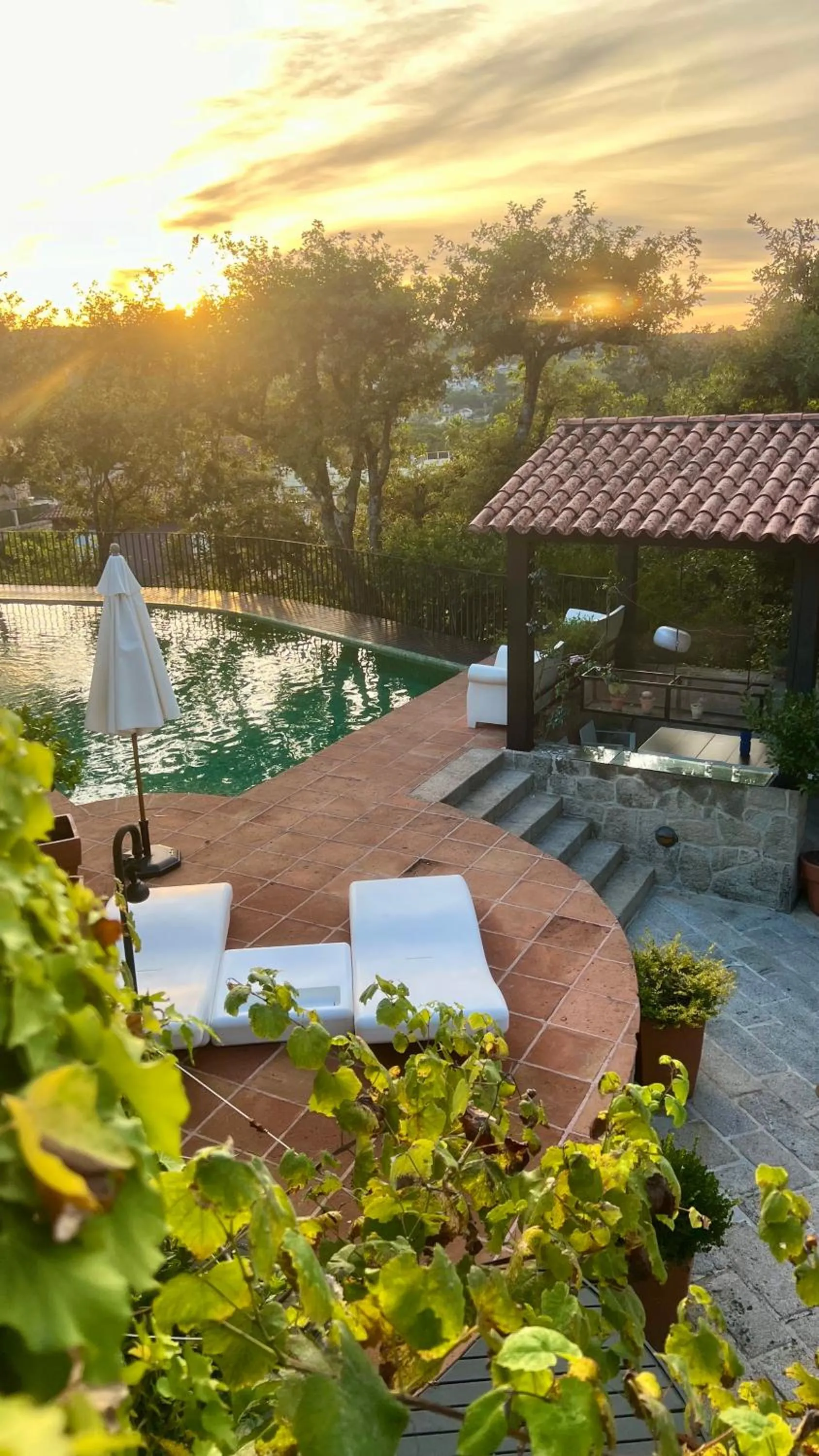 Garden view in Enoturismo Novavila Rias Baixas Wine Design