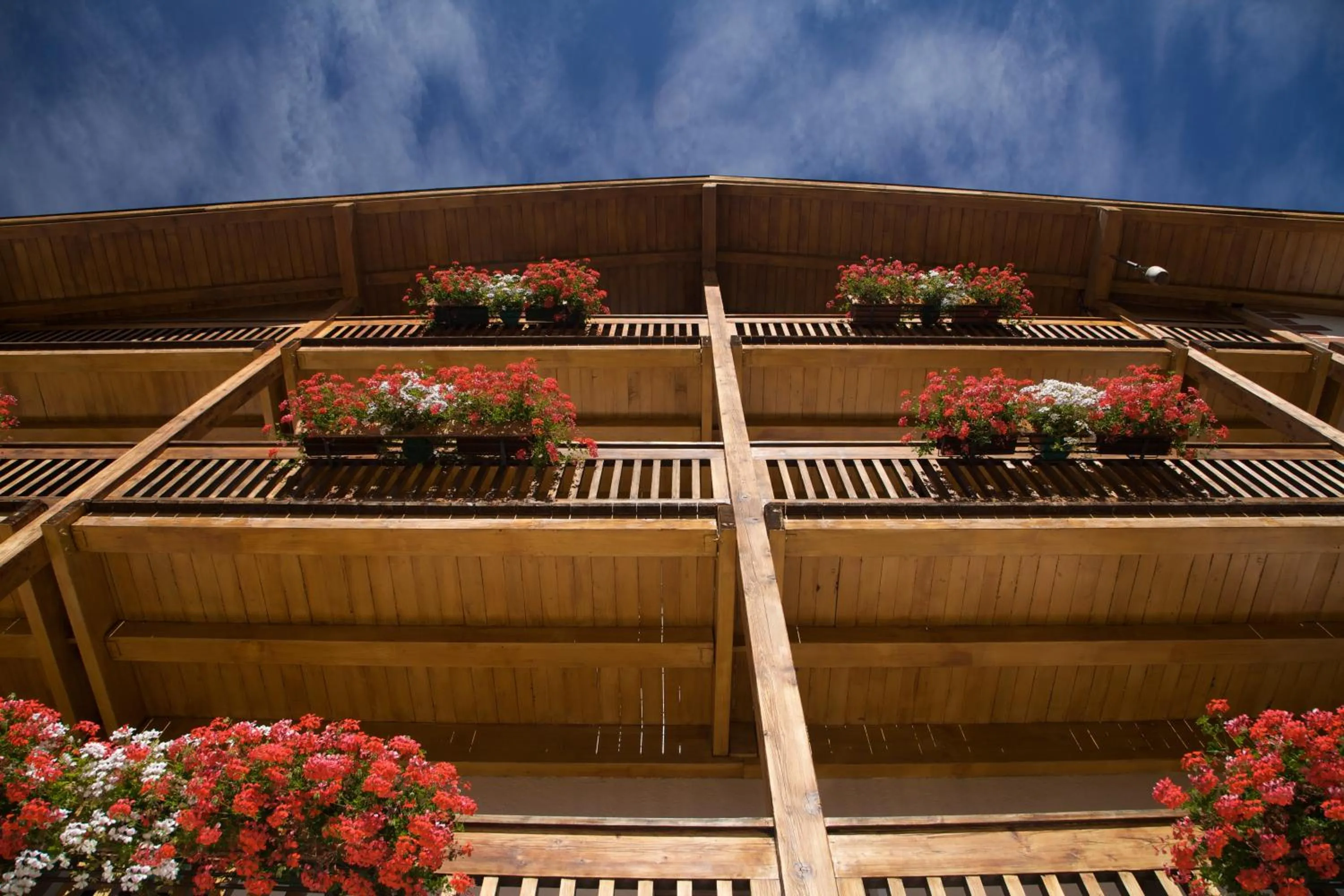 Facade/entrance in Albergo Bellaria
