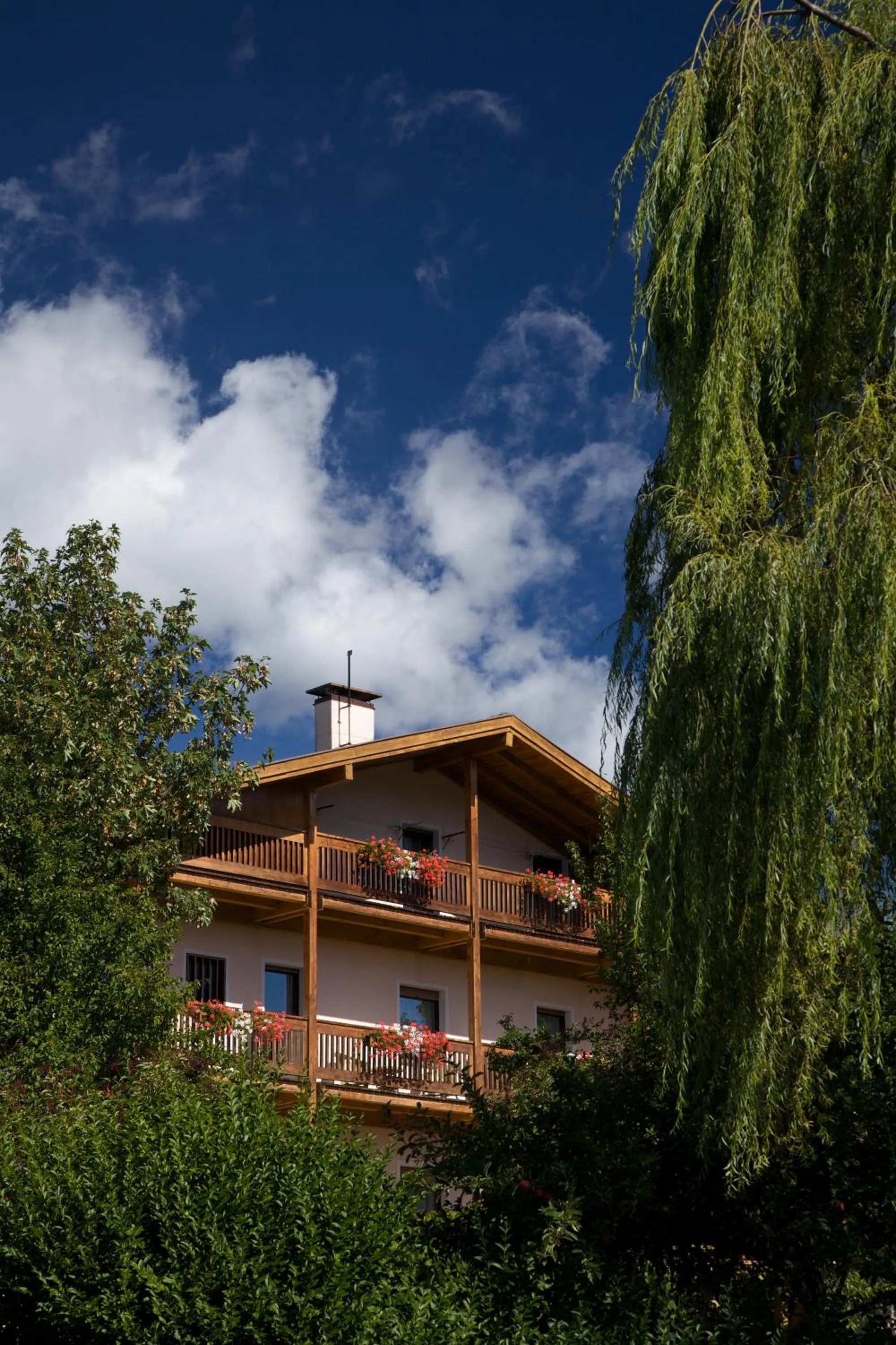 Property building in Albergo Bellaria