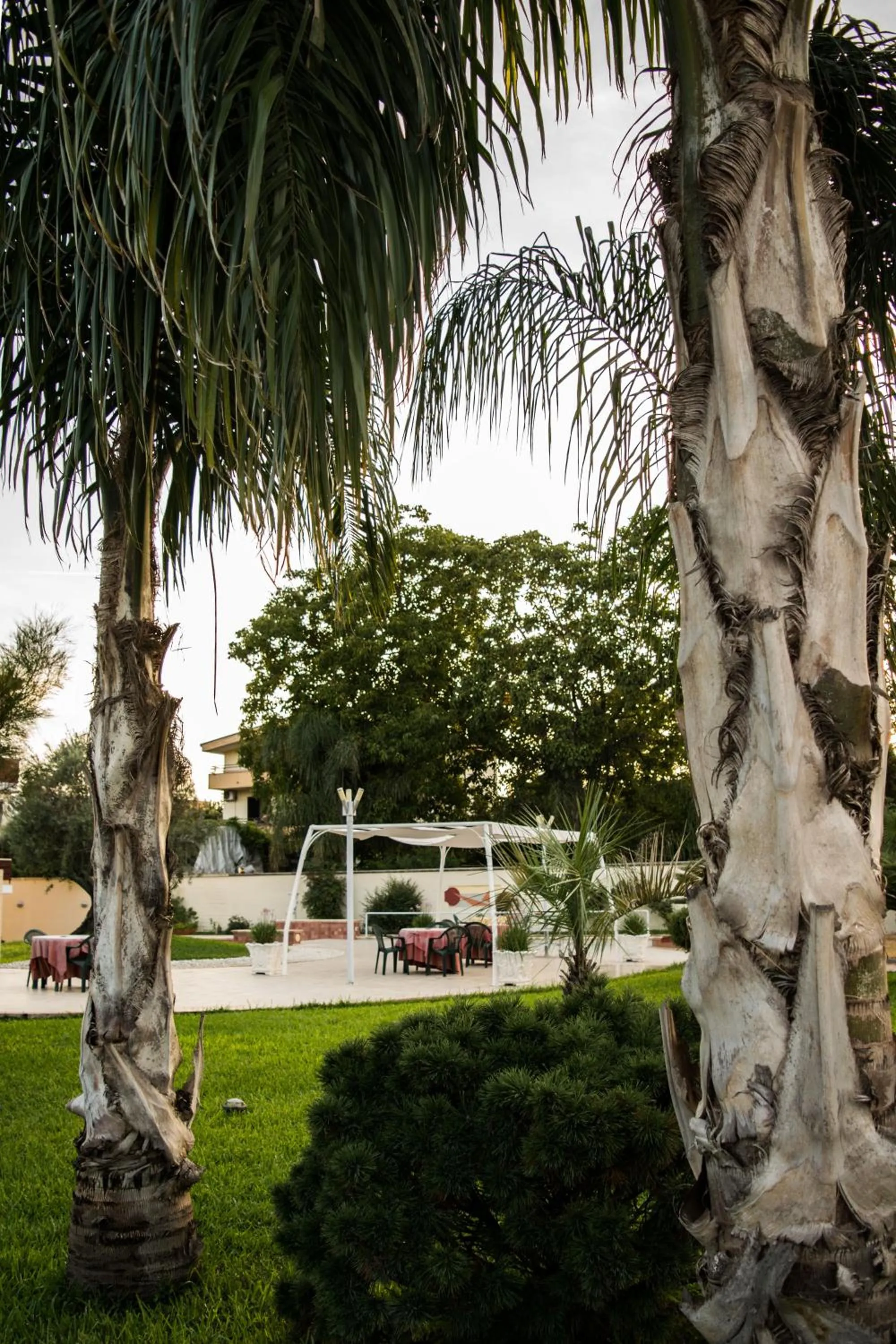 Garden in Hotel Ginevra