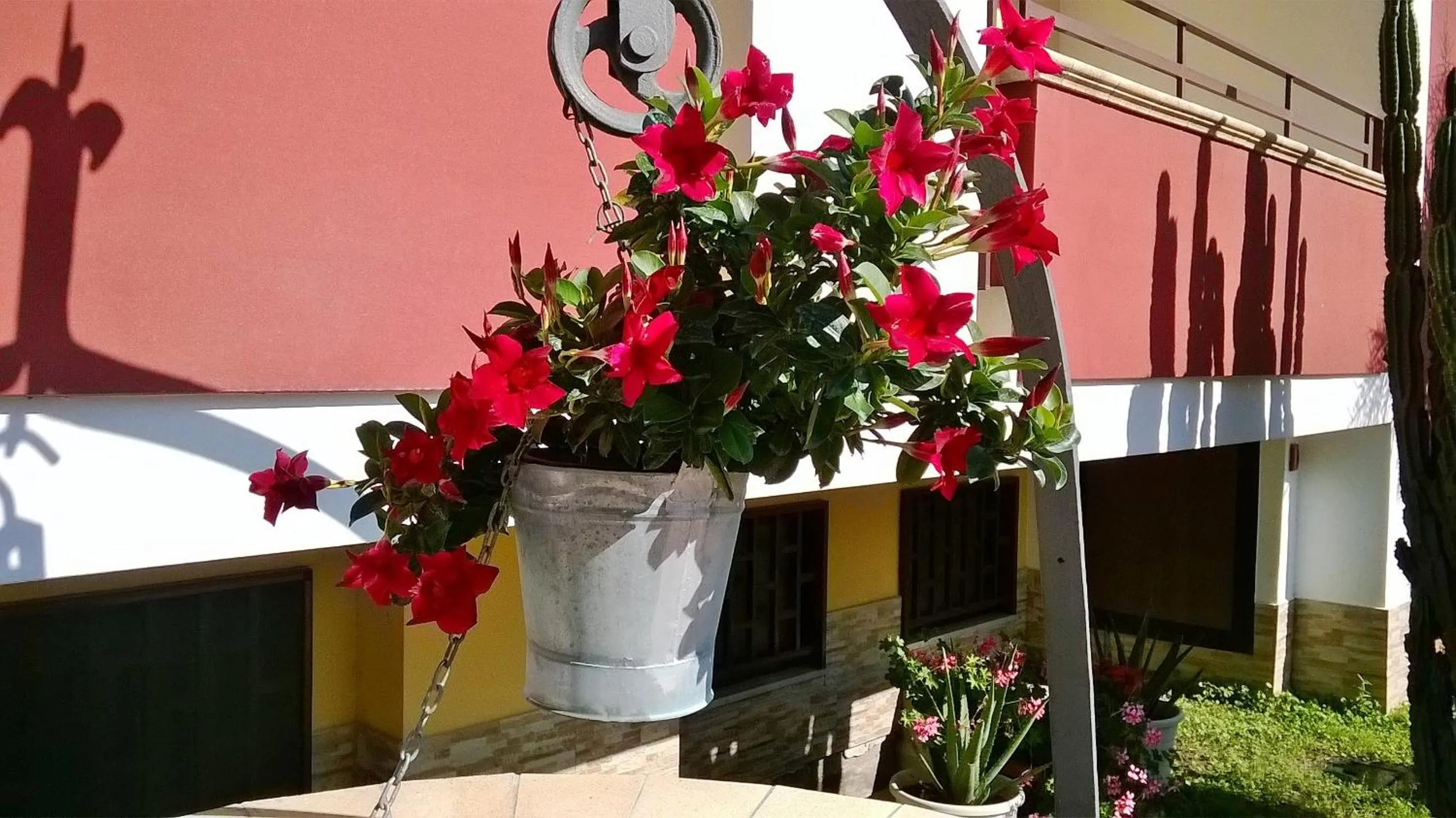 Facade/entrance in Hotel Ginevra