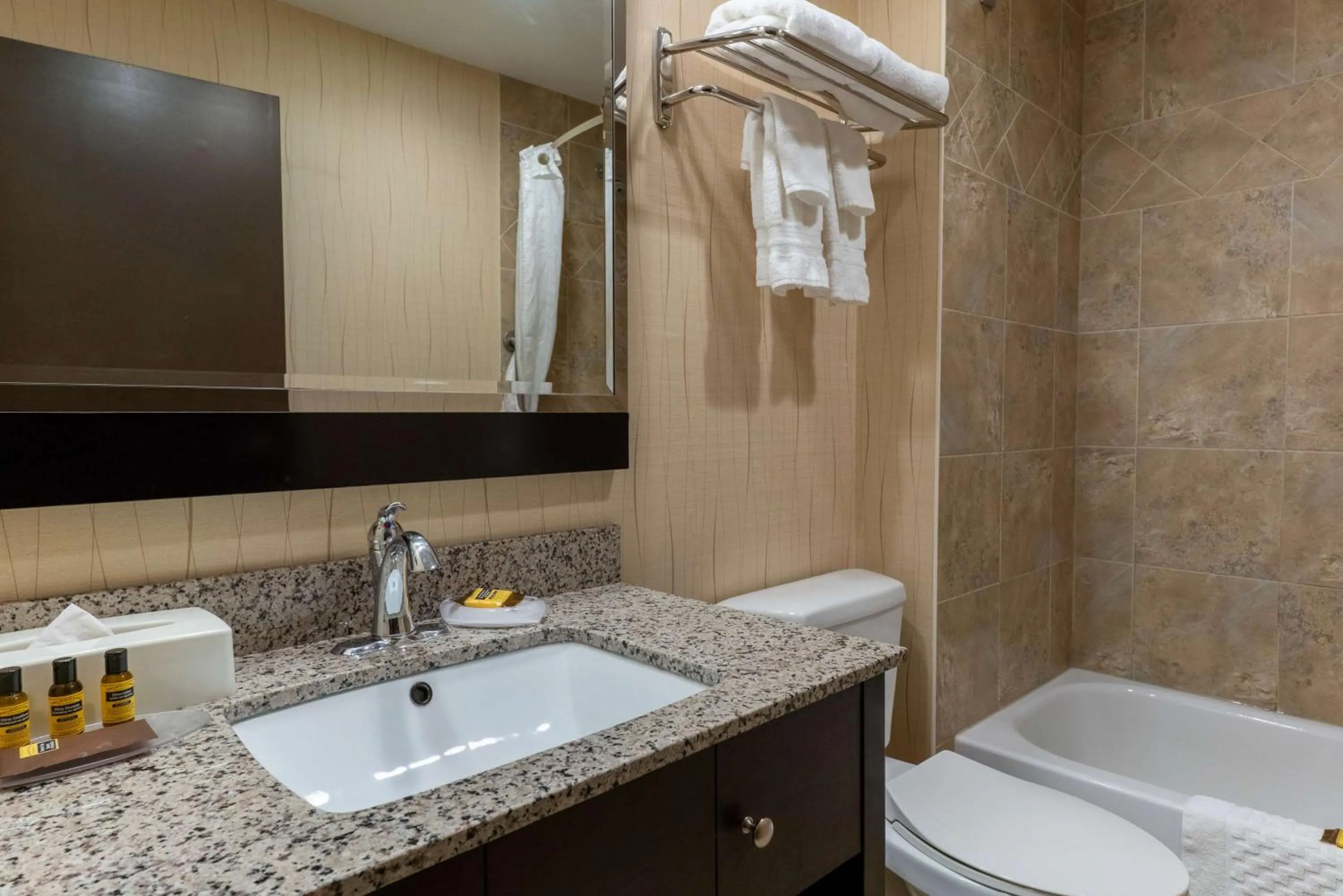 Bathroom in Best Western Plus South Edmonton Inn & Suites