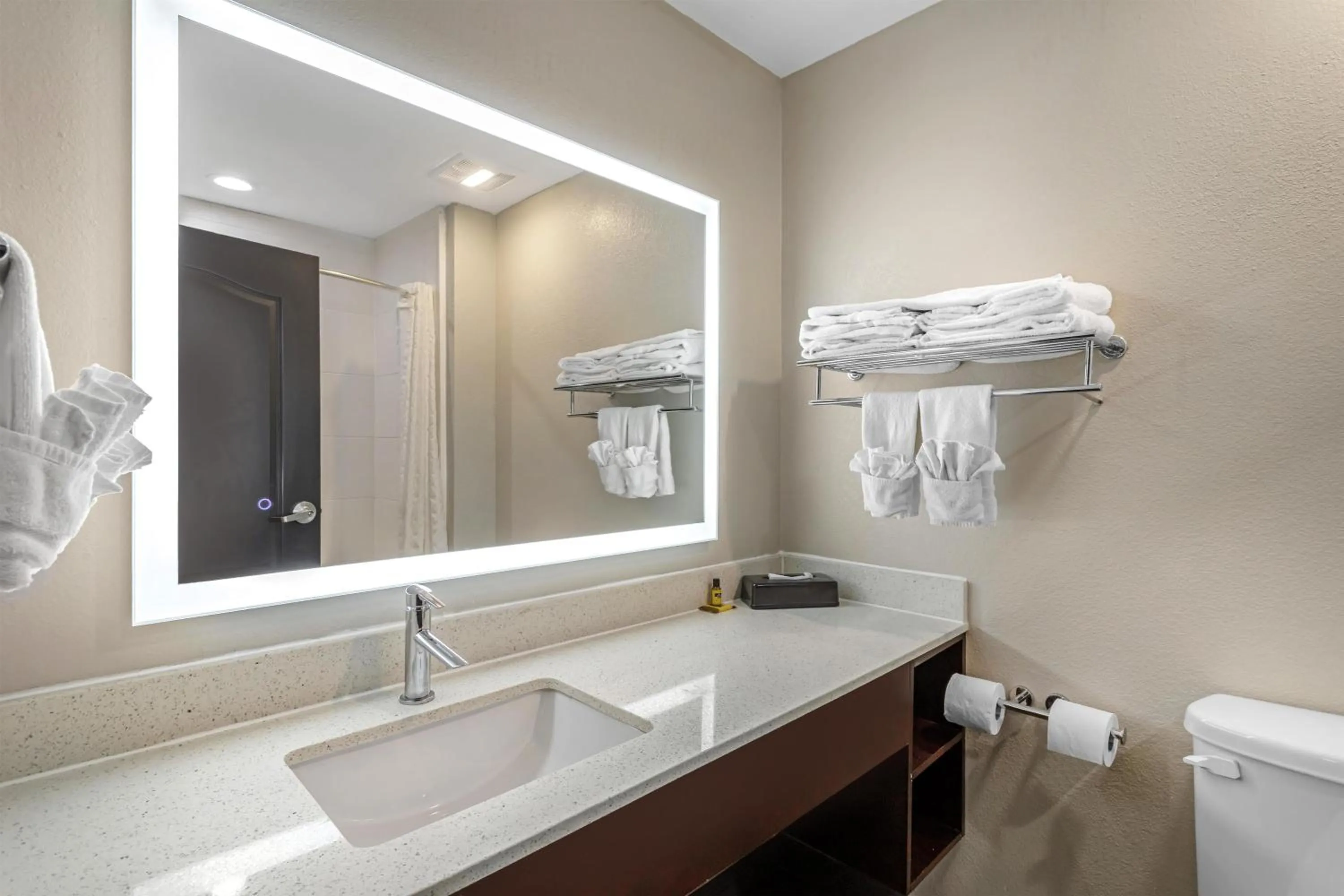 Bathroom in Best Western Plus Bay City Inn & Suites