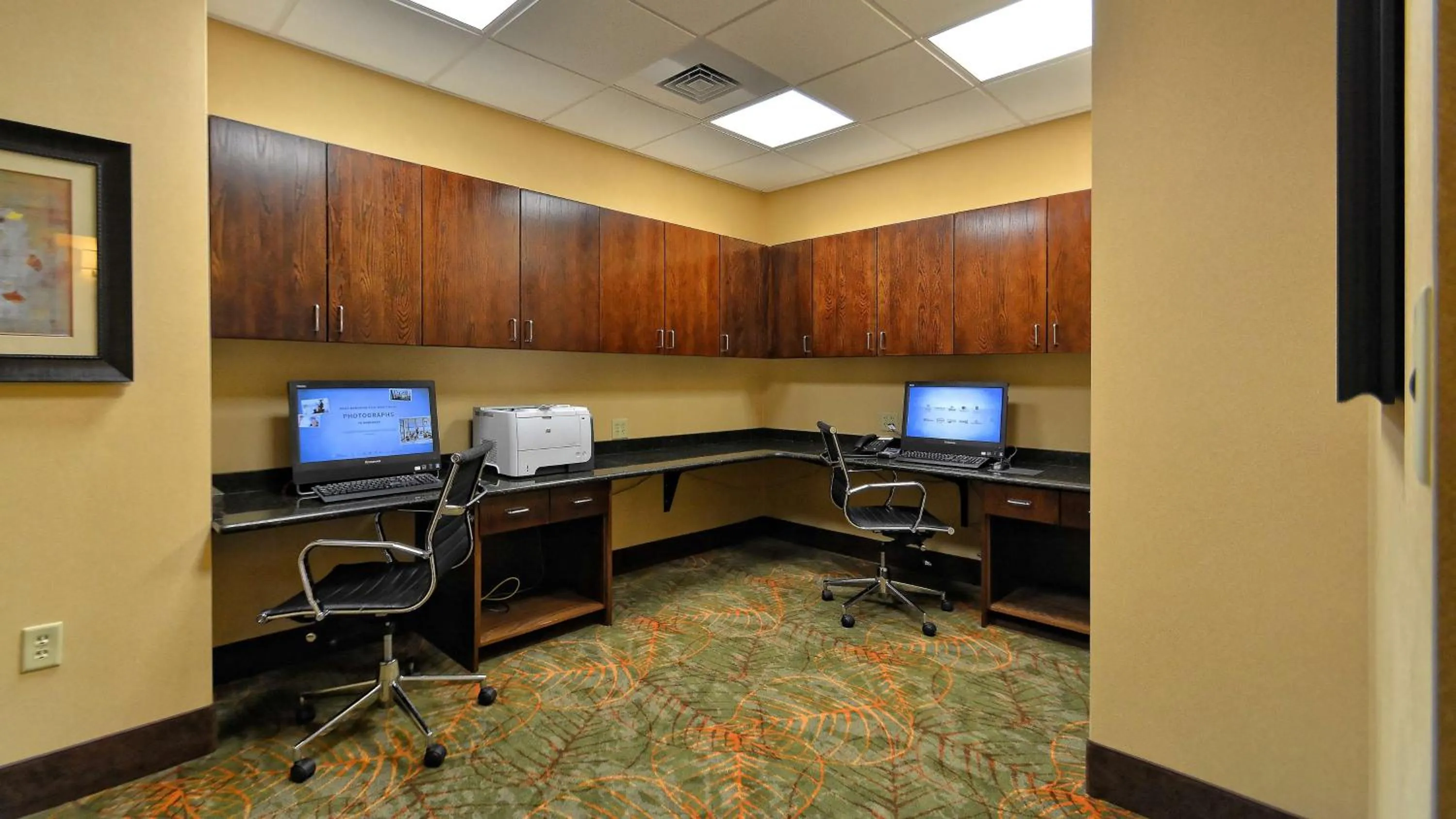 Business facilities in Hampton Inn Geneseo