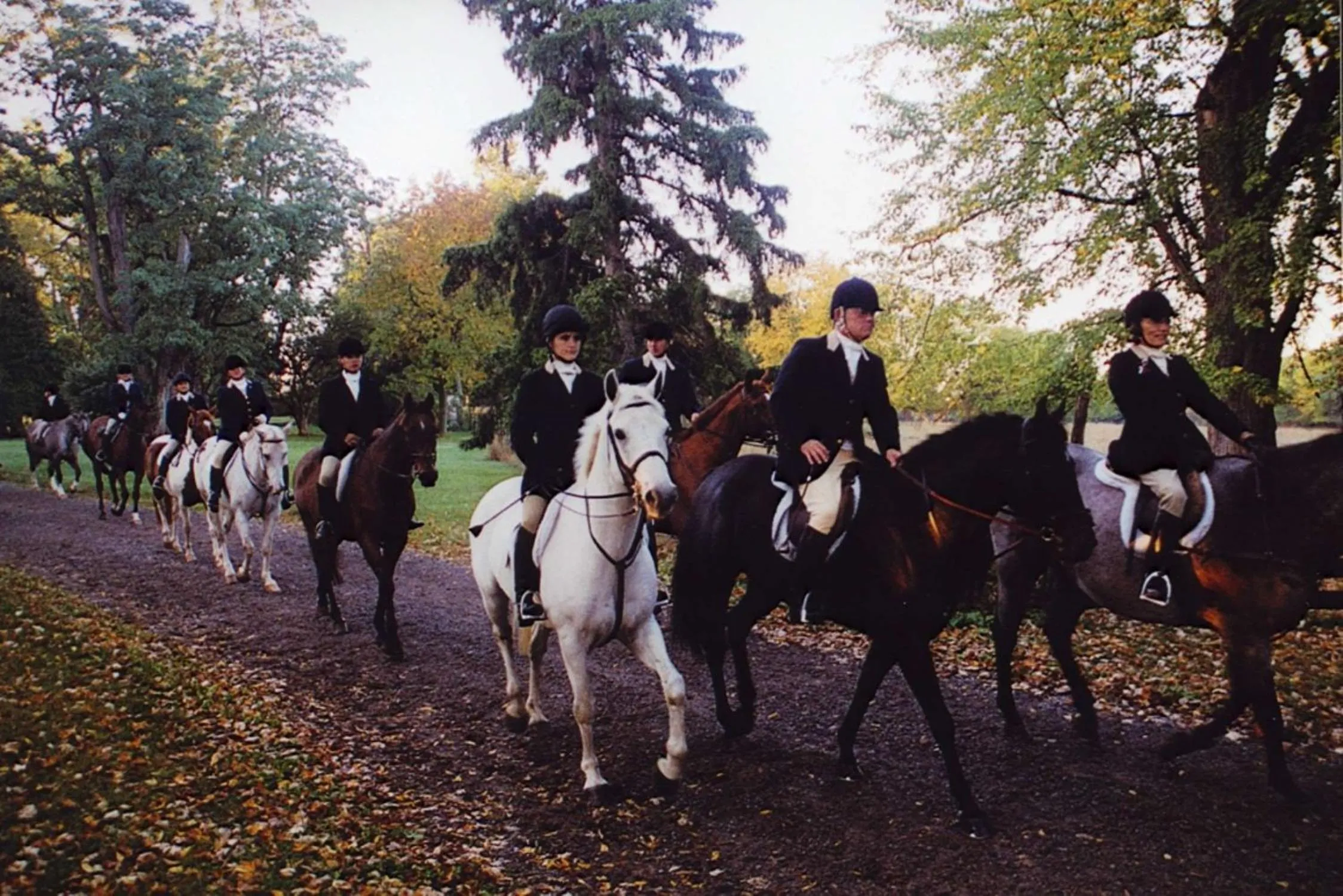 Property building in Hampton Inn Geneseo