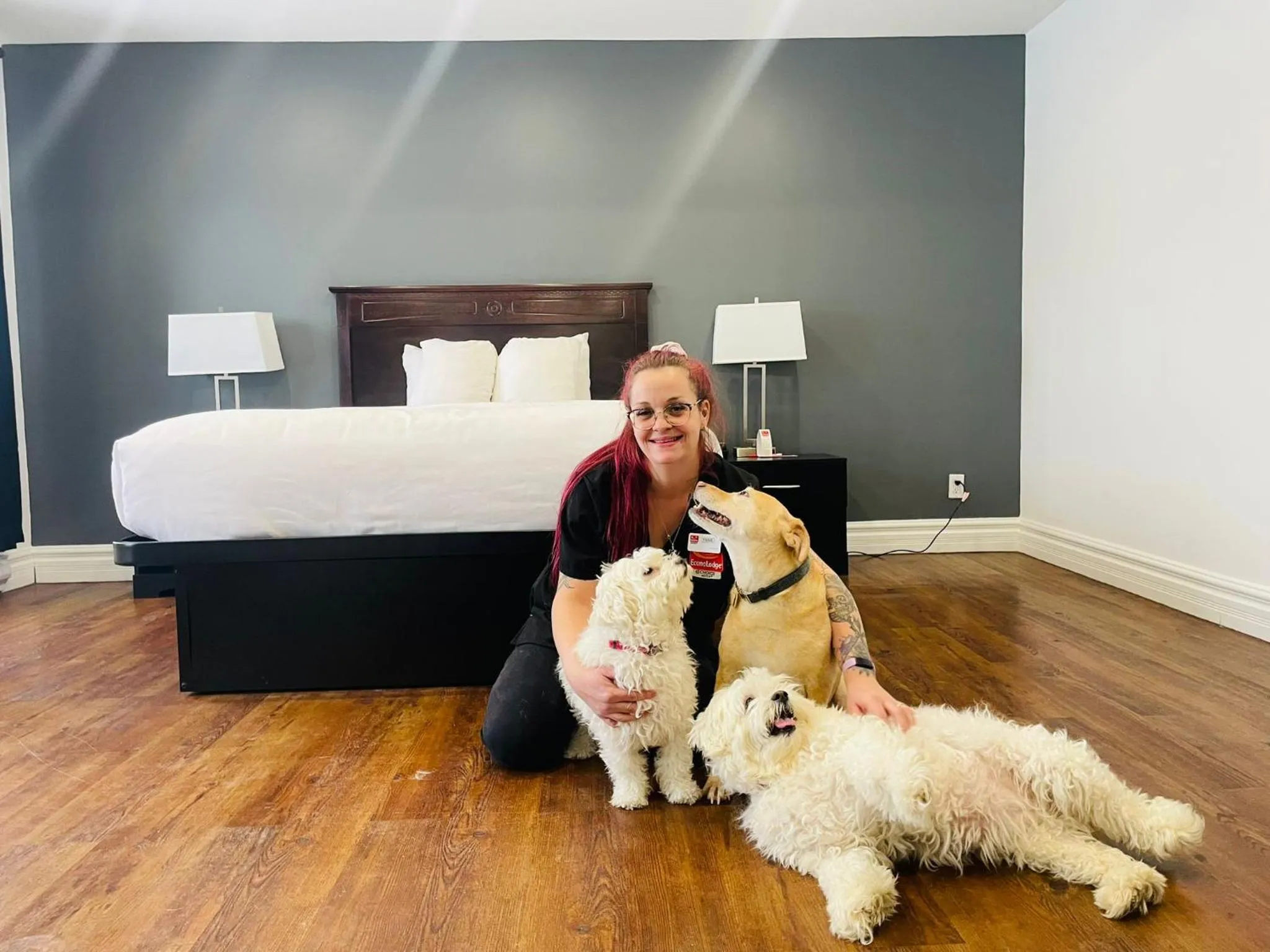 Pets in Econo Lodge Hotel Brossard