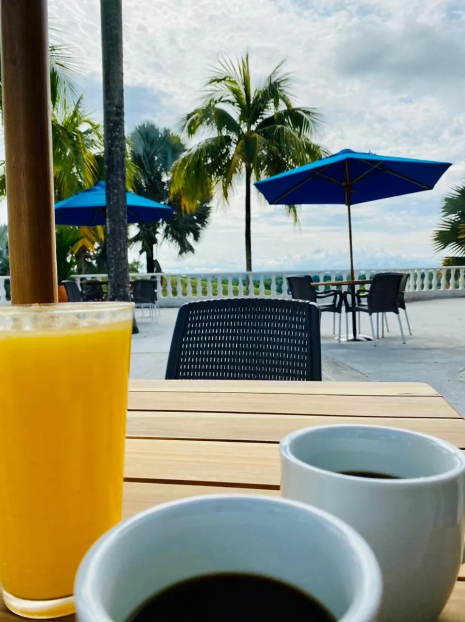 View (from property/room) in La Manola Finca Hotel