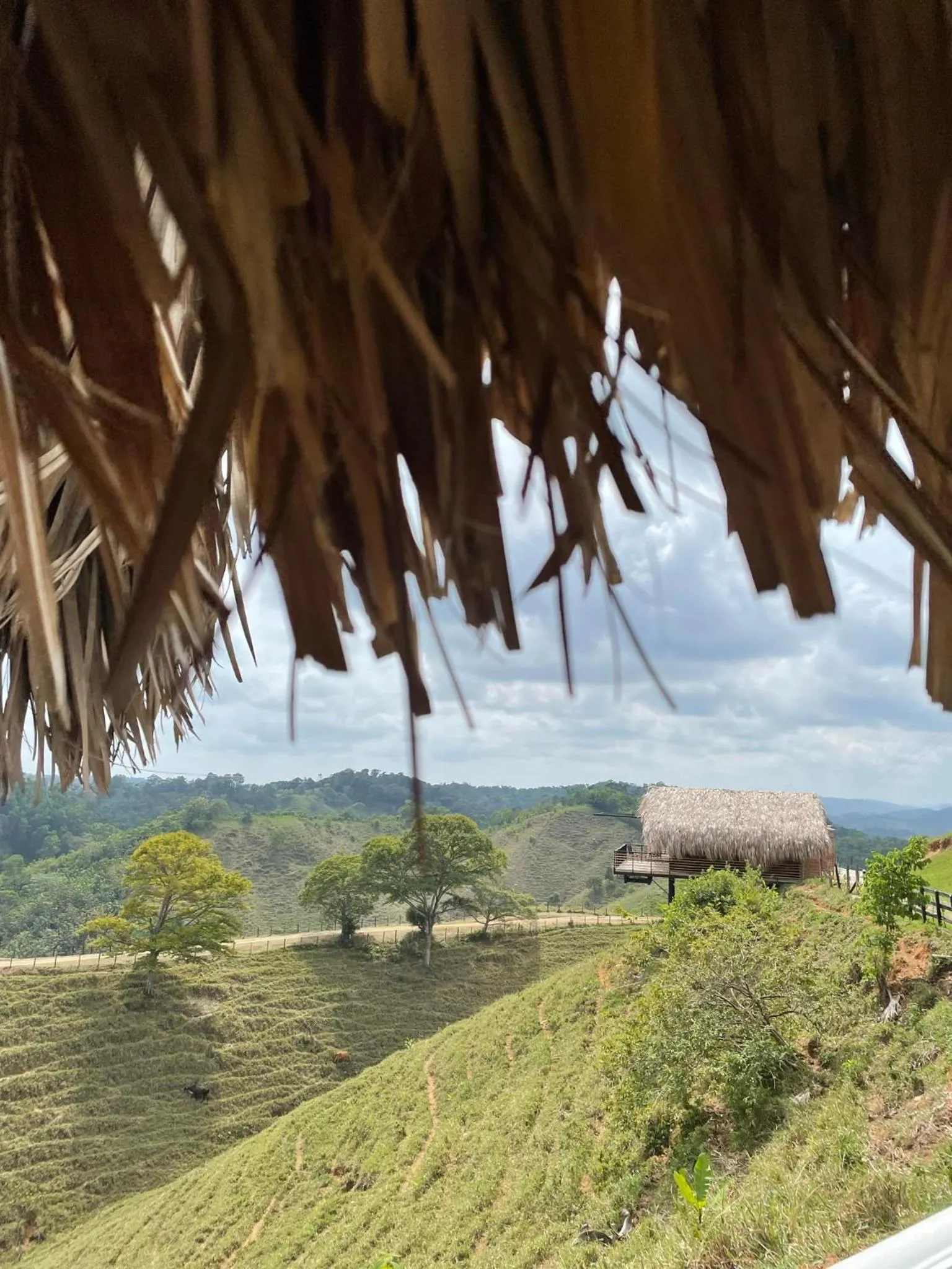 Natural landscape in La Manola Finca Hotel