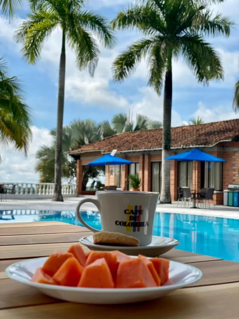 Pool view in La Manola Finca Hotel