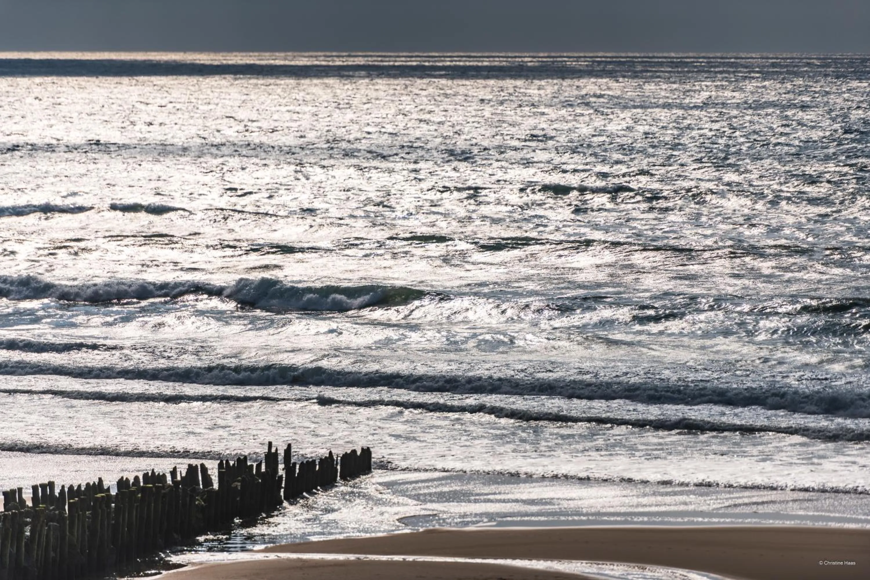 Nearby landmark in CERISE Dax - Les Jardins du Lac