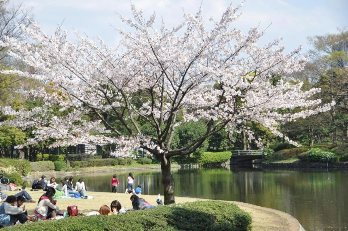 Nearby landmark in Toshi Center Hotel