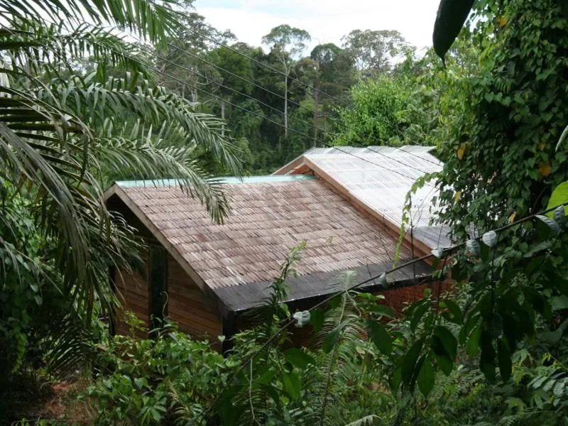 Day in Paganakan Dii Tropical Retreat