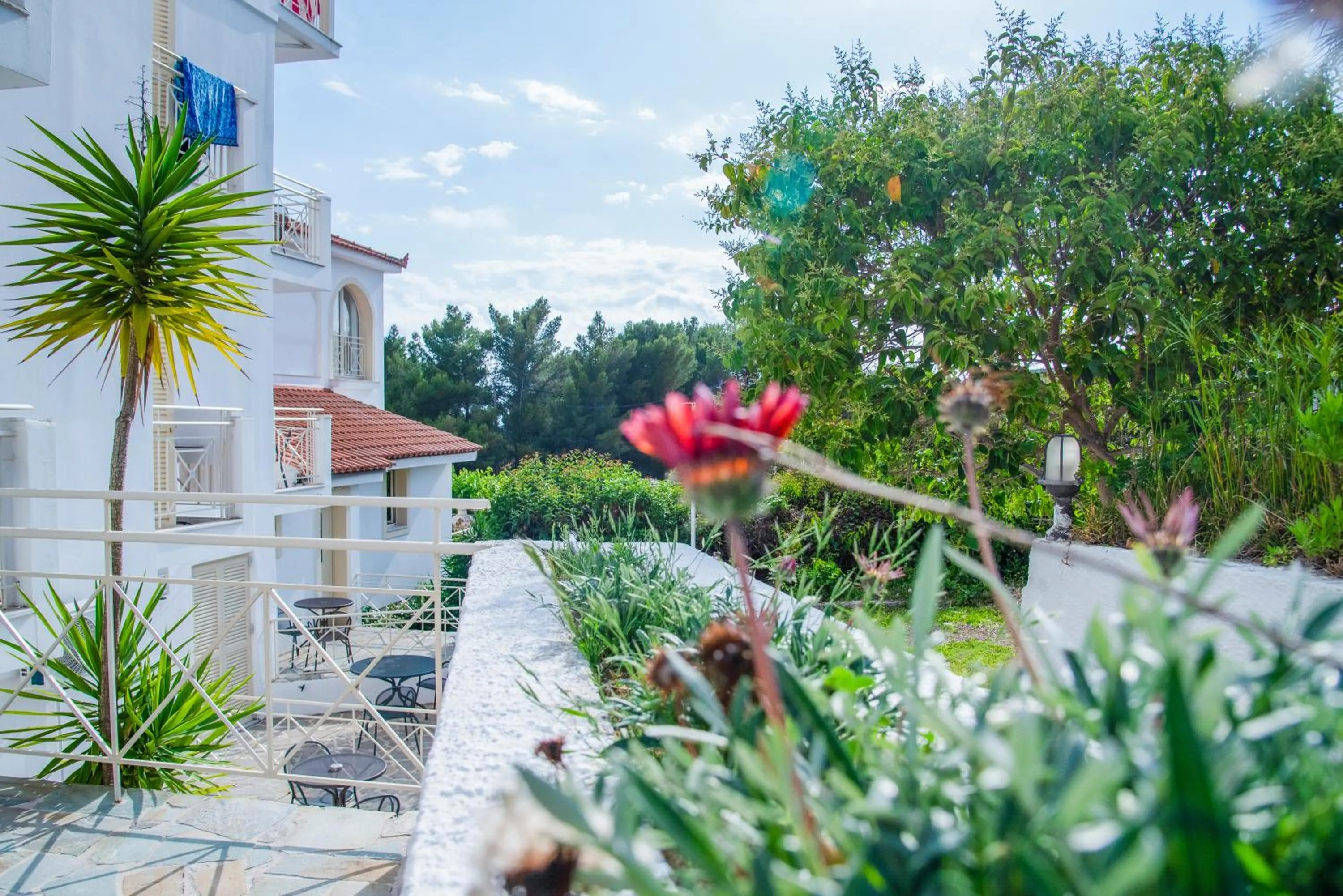 Balcony/Terrace in Princess Hotel